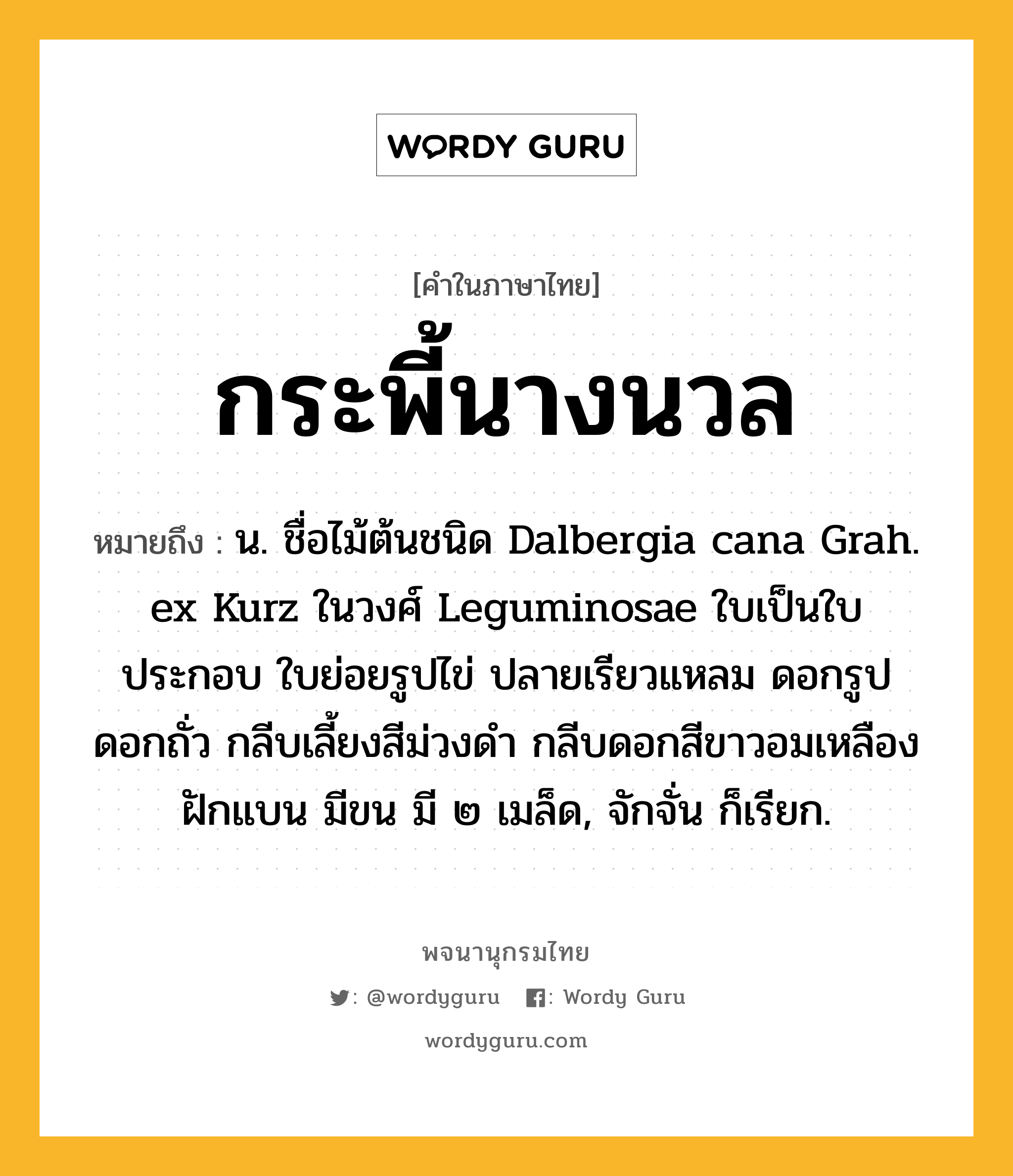 กระพี้นางนวล ความหมาย หมายถึงอะไร?, คำในภาษาไทย กระพี้นางนวล หมายถึง น. ชื่อไม้ต้นชนิด Dalbergia cana Grah. ex Kurz ในวงศ์ Leguminosae ใบเป็นใบประกอบ ใบย่อยรูปไข่ ปลายเรียวแหลม ดอกรูปดอกถั่ว กลีบเลี้ยงสีม่วงดำ กลีบดอกสีขาวอมเหลือง ฝักแบน มีขน มี ๒ เมล็ด, จักจั่น ก็เรียก.