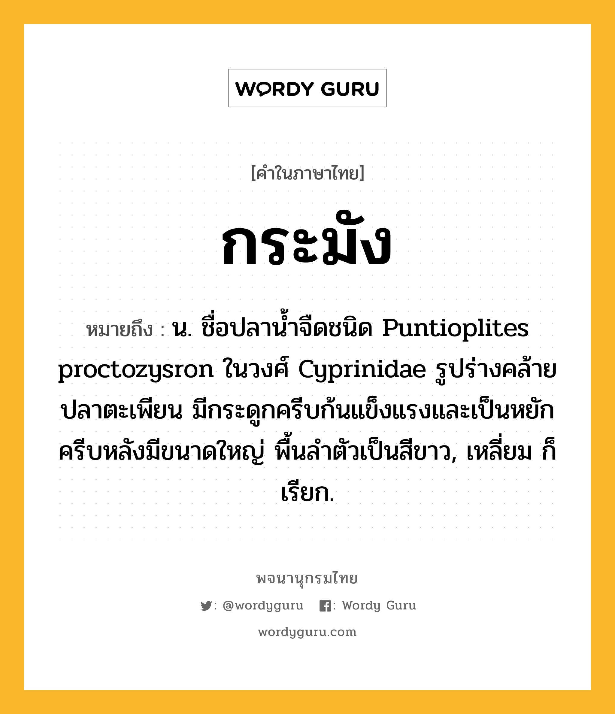 กระมัง ความหมาย หมายถึงอะไร?, คำในภาษาไทย กระมัง หมายถึง น. ชื่อปลานํ้าจืดชนิด Puntioplites proctozysron ในวงศ์ Cyprinidae รูปร่างคล้ายปลาตะเพียน มีกระดูกครีบก้นแข็งแรงและเป็นหยัก ครีบหลังมีขนาดใหญ่ พื้นลําตัวเป็นสีขาว, เหลี่ยม ก็เรียก.