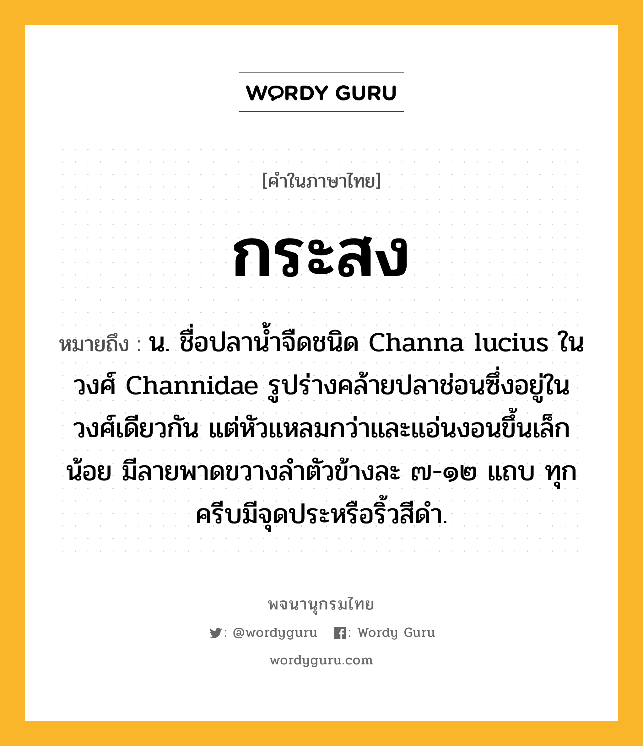 กระสง ความหมาย หมายถึงอะไร?, คำในภาษาไทย กระสง หมายถึง น. ชื่อปลานํ้าจืดชนิด Channa lucius ในวงศ์ Channidae รูปร่างคล้ายปลาช่อนซึ่งอยู่ในวงศ์เดียวกัน แต่หัวแหลมกว่าและแอ่นงอนขึ้นเล็กน้อย มีลายพาดขวางลําตัวข้างละ ๗-๑๒ แถบ ทุกครีบมีจุดประหรือริ้วสีดํา.