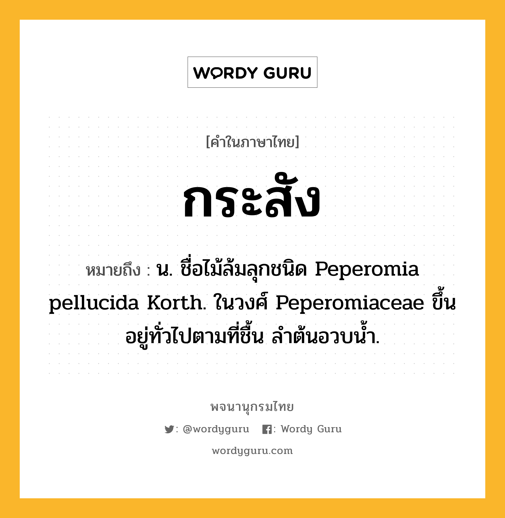 กระสัง ความหมาย หมายถึงอะไร?, คำในภาษาไทย กระสัง หมายถึง น. ชื่อไม้ล้มลุกชนิด Peperomia pellucida Korth. ในวงศ์ Peperomiaceae ขึ้นอยู่ทั่วไปตามที่ชื้น ลําต้นอวบนํ้า.