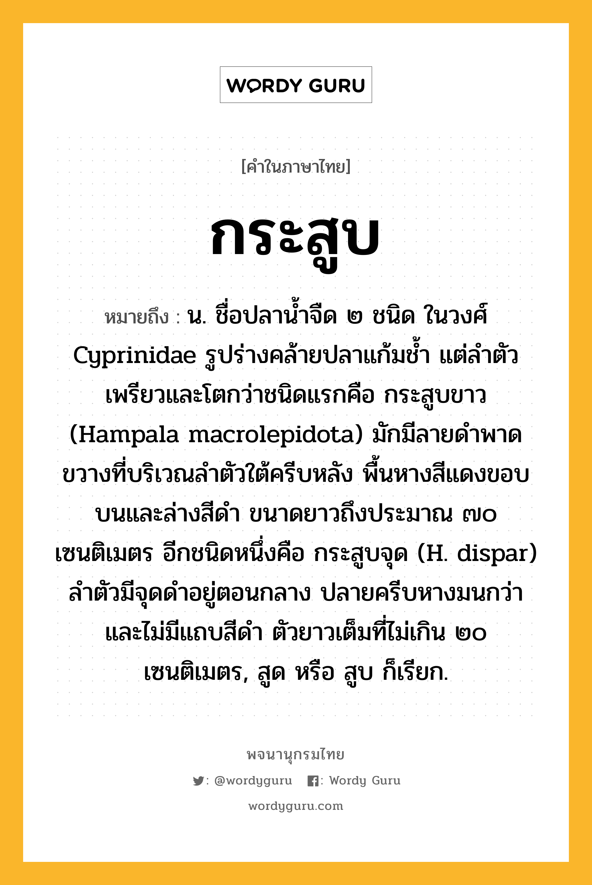 กระสูบ หมายถึงอะไร?, คำในภาษาไทย กระสูบ หมายถึง น. ชื่อปลานํ้าจืด ๒ ชนิด ในวงศ์ Cyprinidae รูปร่างคล้ายปลาแก้มชํ้า แต่ลําตัวเพรียวและโตกว่าชนิดแรกคือ กระสูบขาว (Hampala macrolepidota) มักมีลายดําพาดขวางที่บริเวณลําตัวใต้ครีบหลัง พื้นหางสีแดงขอบบนและล่างสีดํา ขนาดยาวถึงประมาณ ๗๐ เซนติเมตร อีกชนิดหนึ่งคือ กระสูบจุด (H. dispar) ลําตัวมีจุดดําอยู่ตอนกลาง ปลายครีบหางมนกว่า และไม่มีแถบสีดํา ตัวยาวเต็มที่ไม่เกิน ๒๐ เซนติเมตร, สูด หรือ สูบ ก็เรียก.