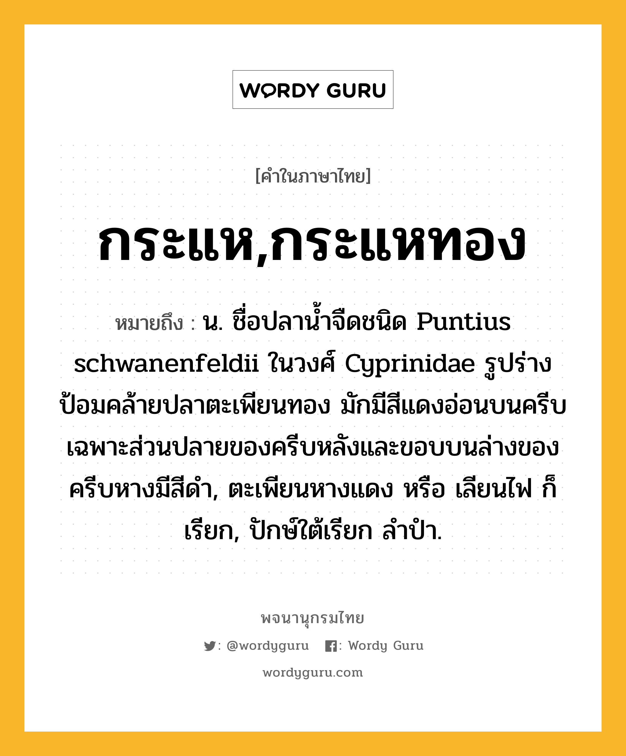 กระแห,กระแหทอง หมายถึงอะไร?, คำในภาษาไทย กระแห,กระแหทอง หมายถึง น. ชื่อปลานํ้าจืดชนิด Puntius schwanenfeldii ในวงศ์ Cyprinidae รูปร่างป้อมคล้ายปลาตะเพียนทอง มักมีสีแดงอ่อนบนครีบ เฉพาะส่วนปลายของครีบหลังและขอบบนล่างของครีบหางมีสีดํา, ตะเพียนหางแดง หรือ เลียนไฟ ก็เรียก, ปักษ์ใต้เรียก ลำปำ.