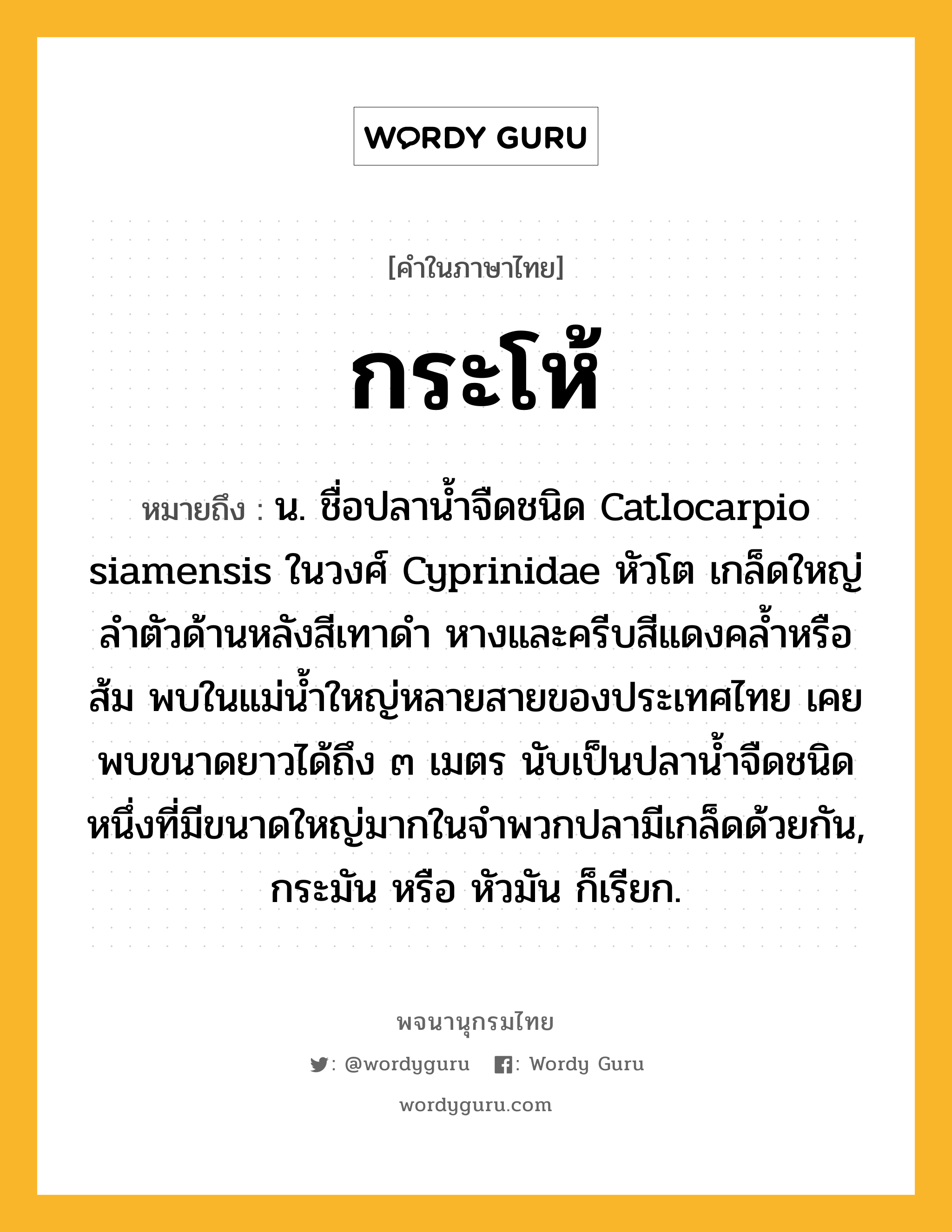 กระโห้ ความหมาย หมายถึงอะไร?, คำในภาษาไทย กระโห้ หมายถึง น. ชื่อปลานํ้าจืดชนิด Catlocarpio siamensis ในวงศ์ Cyprinidae หัวโต เกล็ดใหญ่ ลําตัวด้านหลังสีเทาดํา หางและครีบสีแดงคลํ้าหรือส้ม พบในแม่นํ้าใหญ่หลายสายของประเทศไทย เคยพบขนาดยาวได้ถึง ๓ เมตร นับเป็นปลานํ้าจืดชนิดหนึ่งที่มีขนาดใหญ่มากในจําพวกปลามีเกล็ดด้วยกัน, กระมัน หรือ หัวมัน ก็เรียก.