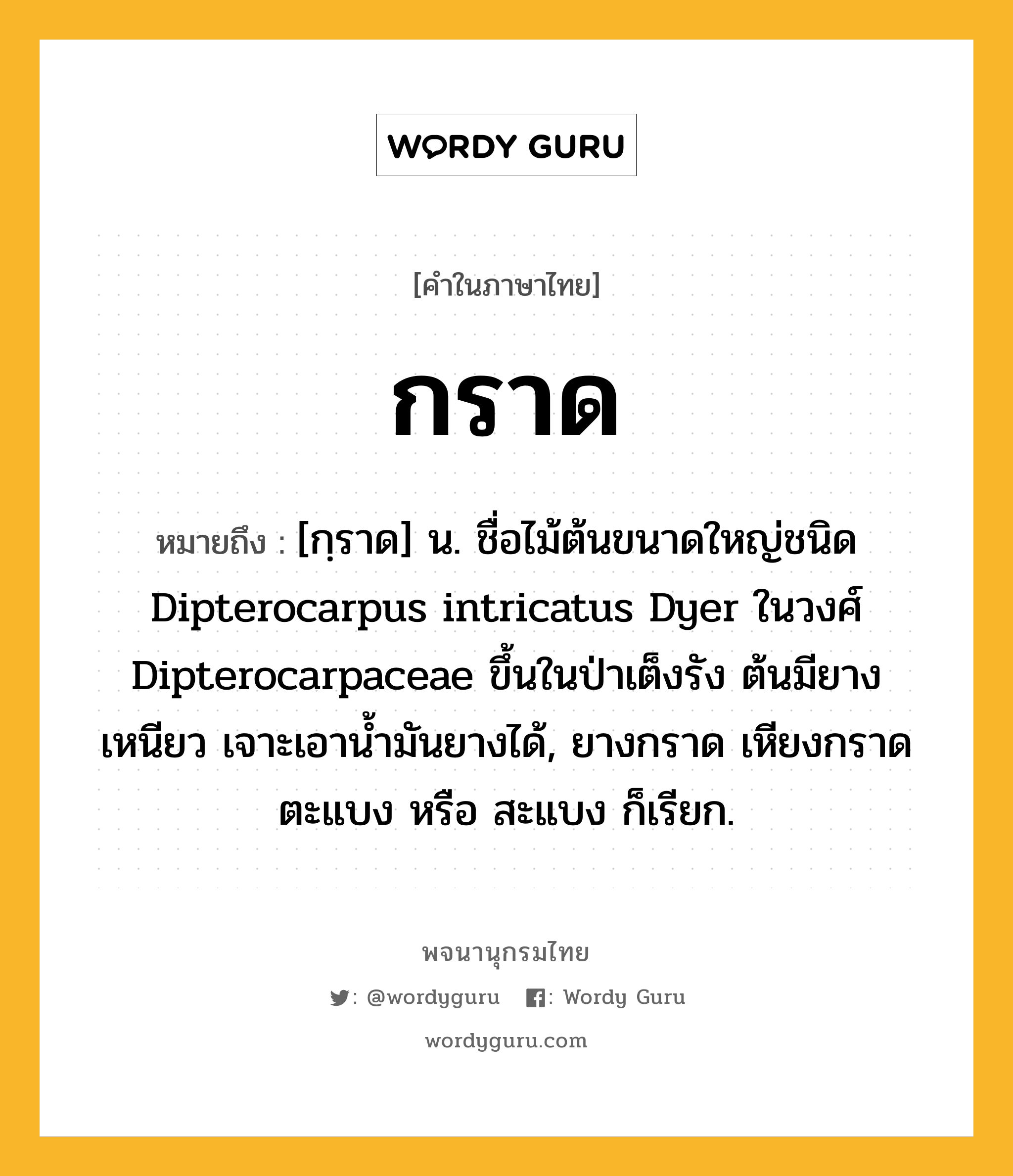 กราด หมายถึงอะไร?, คำในภาษาไทย กราด หมายถึง [กฺราด] น. ชื่อไม้ต้นขนาดใหญ่ชนิด Dipterocarpus intricatus Dyer ในวงศ์ Dipterocarpaceae ขึ้นในป่าเต็งรัง ต้นมียางเหนียว เจาะเอานํ้ามันยางได้, ยางกราด เหียงกราด ตะแบง หรือ สะแบง ก็เรียก.