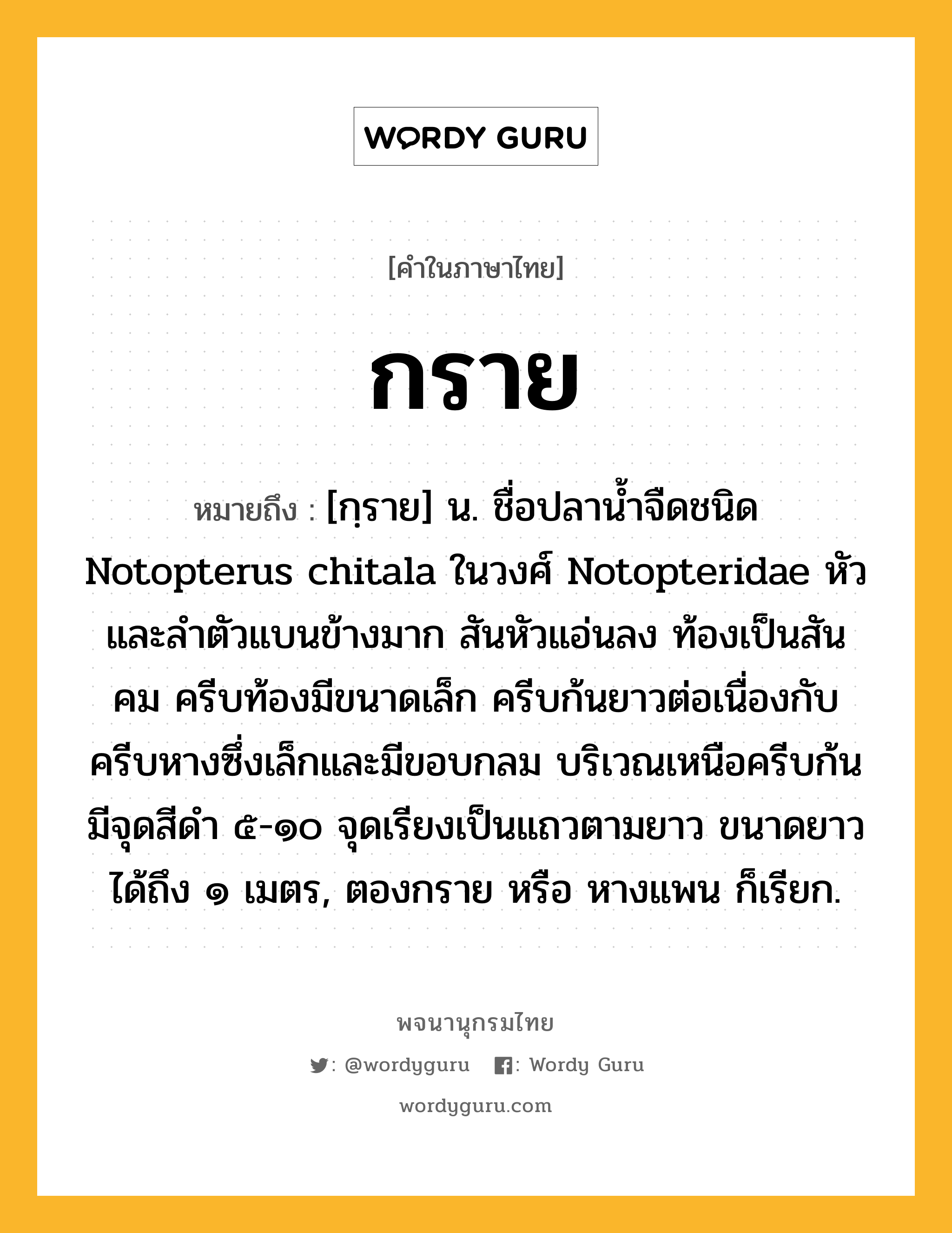 กราย หมายถึงอะไร?, คำในภาษาไทย กราย หมายถึง [กฺราย] น. ชื่อปลานํ้าจืดชนิด Notopterus chitala ในวงศ์ Notopteridae หัวและลําตัวแบนข้างมาก สันหัวแอ่นลง ท้องเป็นสันคม ครีบท้องมีขนาดเล็ก ครีบก้นยาวต่อเนื่องกับครีบหางซึ่งเล็กและมีขอบกลม บริเวณเหนือครีบก้นมีจุดสีดํา ๕-๑๐ จุดเรียงเป็นแถวตามยาว ขนาดยาวได้ถึง ๑ เมตร, ตองกราย หรือ หางแพน ก็เรียก.