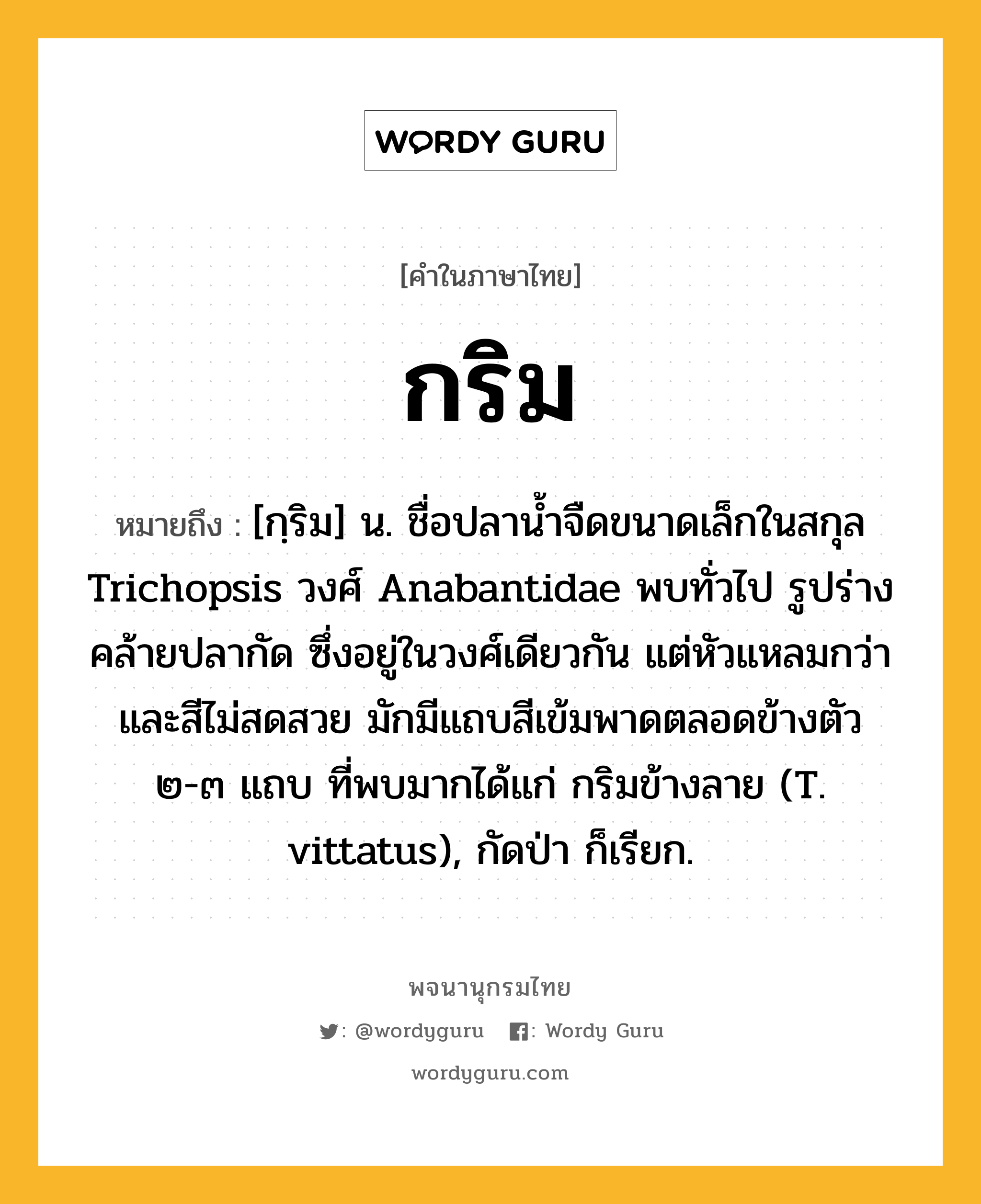 กริม หมายถึงอะไร?, คำในภาษาไทย กริม หมายถึง [กฺริม] น. ชื่อปลานํ้าจืดขนาดเล็กในสกุล Trichopsis วงศ์ Anabantidae พบทั่วไป รูปร่างคล้ายปลากัด ซึ่งอยู่ในวงศ์เดียวกัน แต่หัวแหลมกว่าและสีไม่สดสวย มักมีแถบสีเข้มพาดตลอดข้างตัว ๒-๓ แถบ ที่พบมากได้แก่ กริมข้างลาย (T. vittatus), กัดป่า ก็เรียก.