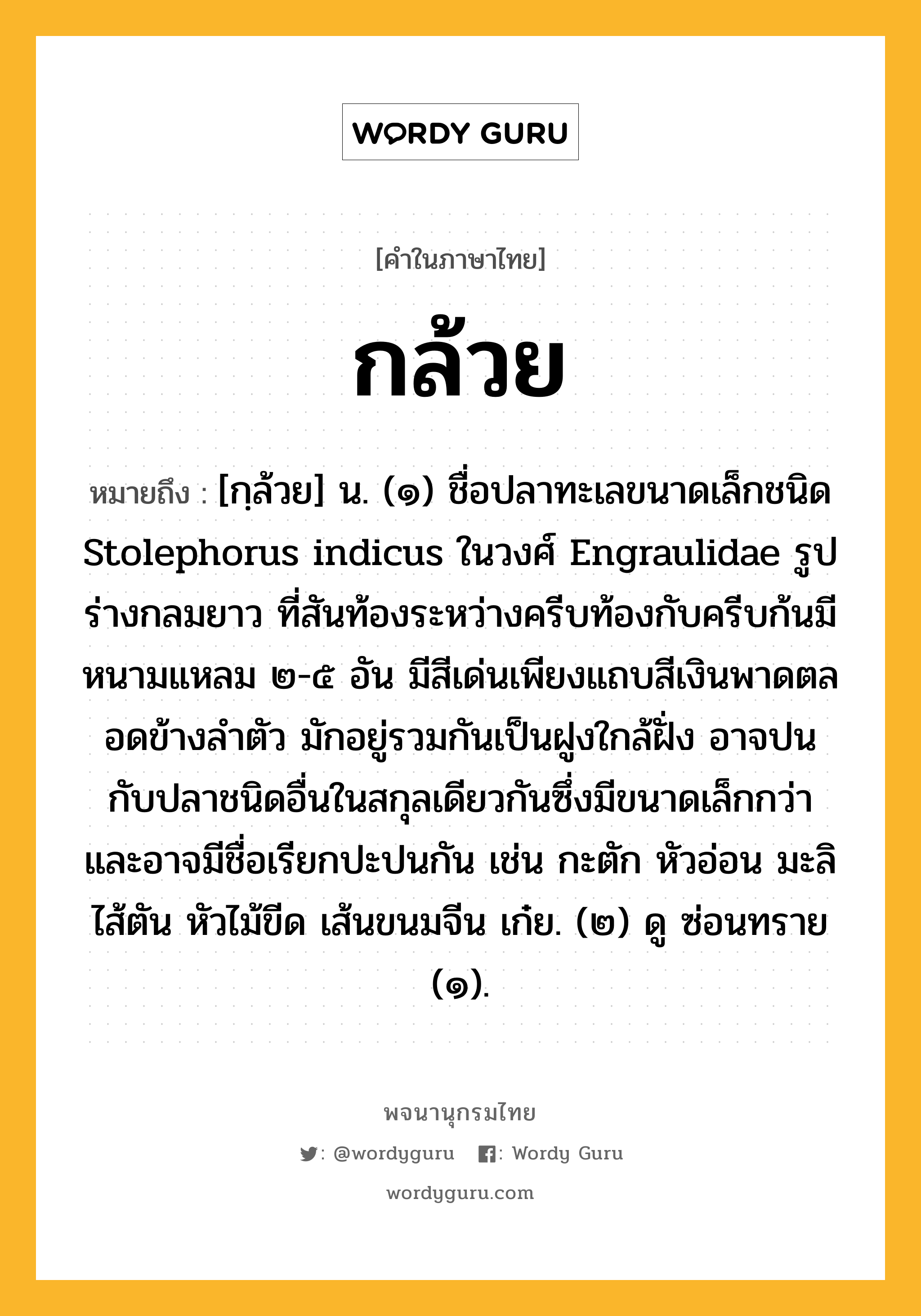 กล้วย หมายถึงอะไร?, คำในภาษาไทย กล้วย หมายถึง [กฺล้วย] น. (๑) ชื่อปลาทะเลขนาดเล็กชนิด Stolephorus indicus ในวงศ์ Engraulidae รูปร่างกลมยาว ที่สันท้องระหว่างครีบท้องกับครีบก้นมีหนามแหลม ๒-๕ อัน มีสีเด่นเพียงแถบสีเงินพาดตลอดข้างลําตัว มักอยู่รวมกันเป็นฝูงใกล้ฝั่ง อาจปนกับปลาชนิดอื่นในสกุลเดียวกันซึ่งมีขนาดเล็กกว่า และอาจมีชื่อเรียกปะปนกัน เช่น กะตัก หัวอ่อน มะลิ ไส้ตัน หัวไม้ขีด เส้นขนมจีน เก๋ย. (๒) ดู ซ่อนทราย (๑).