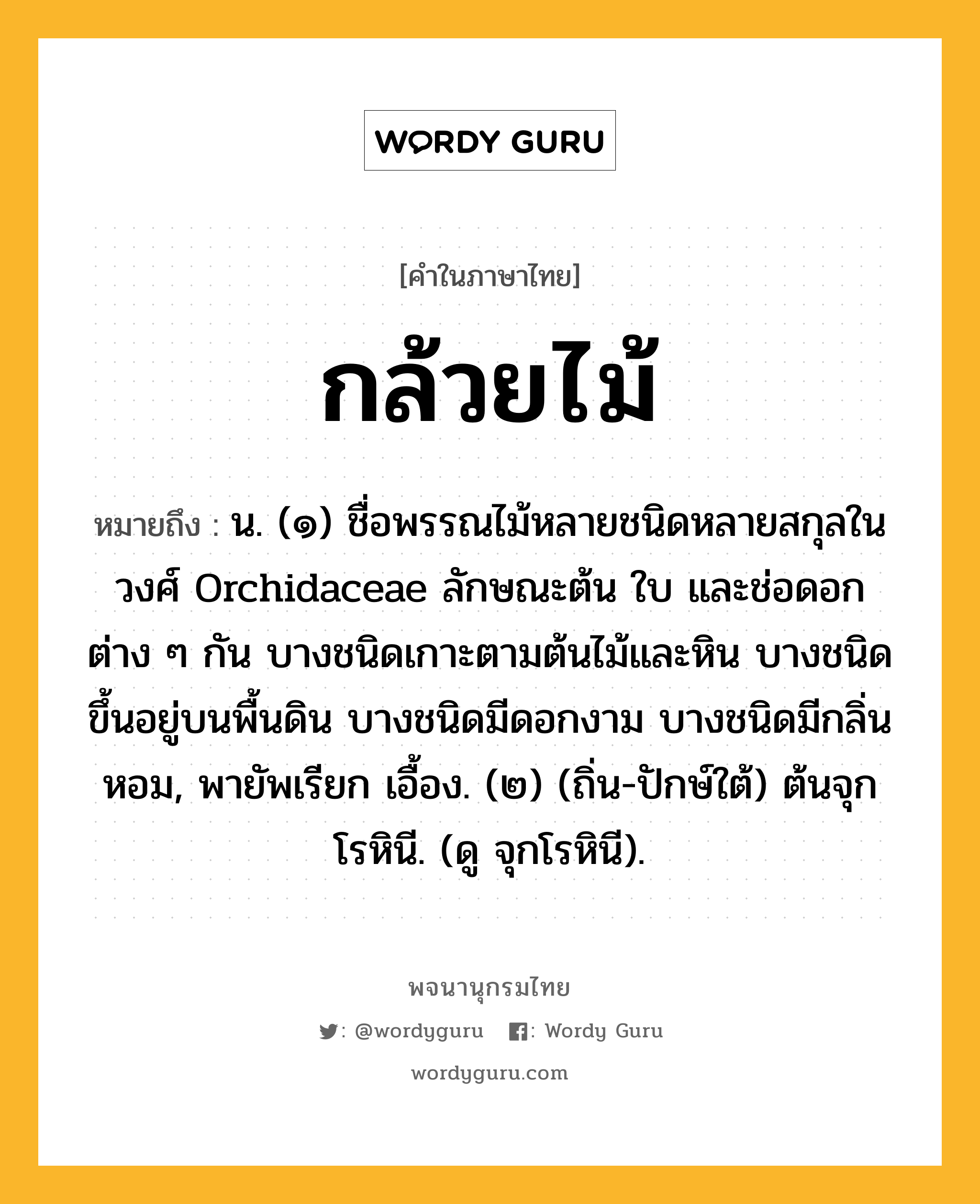 กล้วยไม้ หมายถึงอะไร?, คำในภาษาไทย กล้วยไม้ หมายถึง น. (๑) ชื่อพรรณไม้หลายชนิดหลายสกุลในวงศ์ Orchidaceae ลักษณะต้น ใบ และช่อดอกต่าง ๆ กัน บางชนิดเกาะตามต้นไม้และหิน บางชนิดขึ้นอยู่บนพื้นดิน บางชนิดมีดอกงาม บางชนิดมีกลิ่นหอม, พายัพเรียก เอื้อง. (๒) (ถิ่น-ปักษ์ใต้) ต้นจุกโรหินี. (ดู จุกโรหินี).