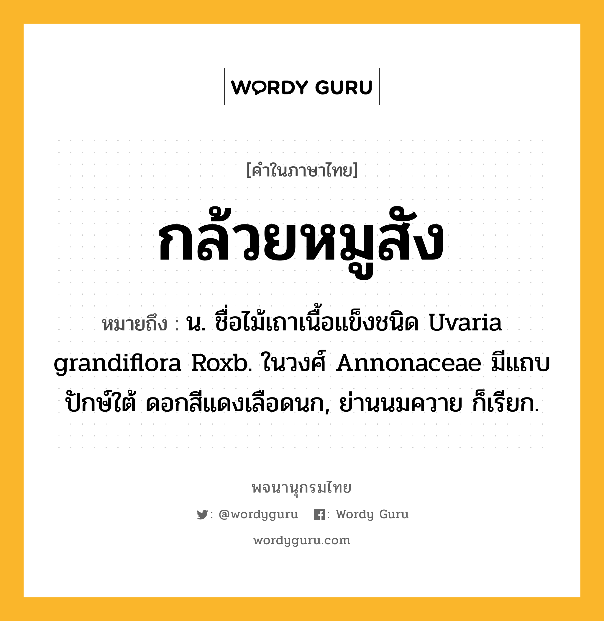 กล้วยหมูสัง หมายถึงอะไร?, คำในภาษาไทย กล้วยหมูสัง หมายถึง น. ชื่อไม้เถาเนื้อแข็งชนิด Uvaria grandiflora Roxb. ในวงศ์ Annonaceae มีแถบปักษ์ใต้ ดอกสีแดงเลือดนก, ย่านนมควาย ก็เรียก.