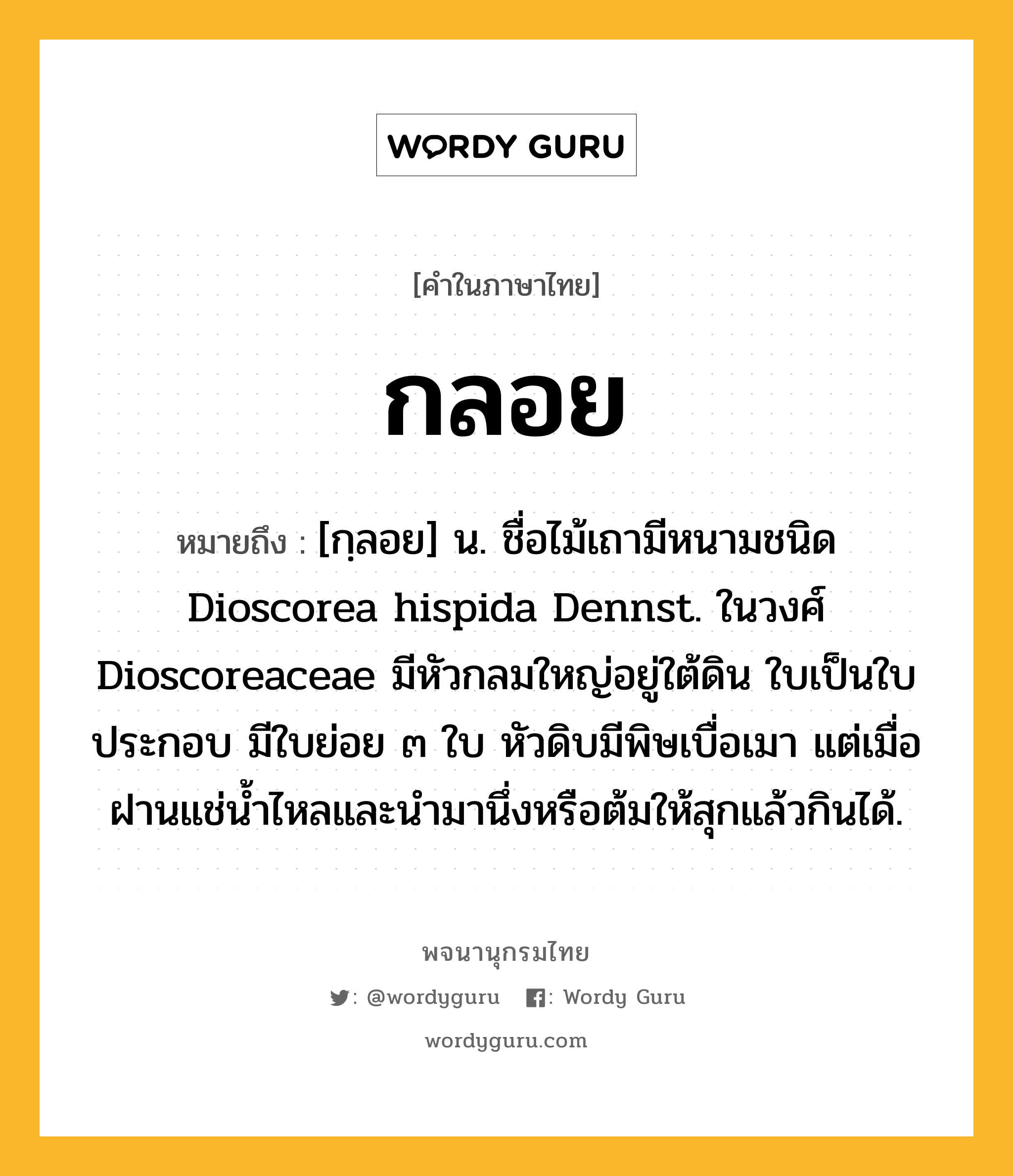 กลอย หมายถึงอะไร?, คำในภาษาไทย กลอย หมายถึง [กฺลอย] น. ชื่อไม้เถามีหนามชนิด Dioscorea hispida Dennst. ในวงศ์ Dioscoreaceae มีหัวกลมใหญ่อยู่ใต้ดิน ใบเป็นใบประกอบ มีใบย่อย ๓ ใบ หัวดิบมีพิษเบื่อเมา แต่เมื่อฝานแช่นํ้าไหลและนํามานึ่งหรือต้มให้สุกแล้วกินได้.