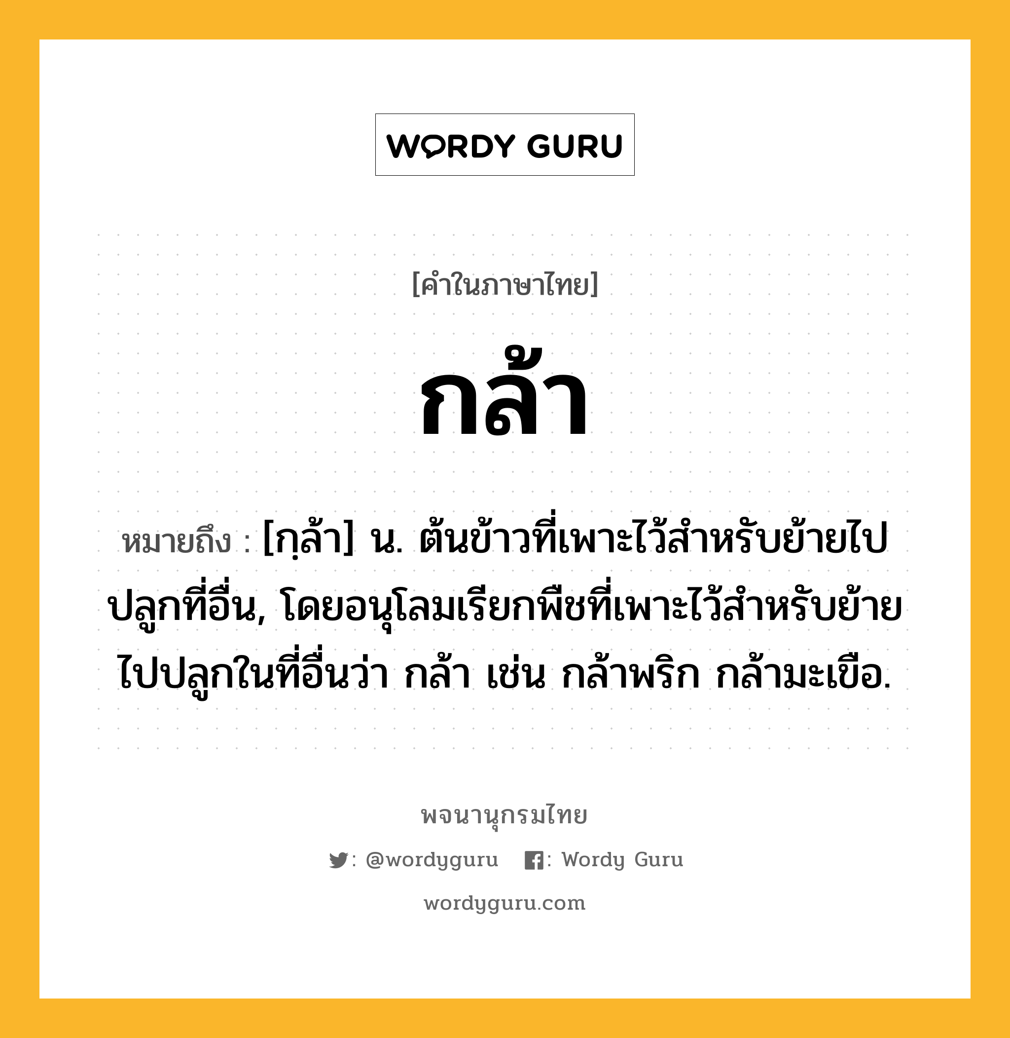 กล้า หมายถึงอะไร?, คำในภาษาไทย กล้า หมายถึง [กฺล้า] น. ต้นข้าวที่เพาะไว้สําหรับย้ายไปปลูกที่อื่น, โดยอนุโลมเรียกพืชที่เพาะไว้สําหรับย้ายไปปลูกในที่อื่นว่า กล้า เช่น กล้าพริก กล้ามะเขือ.