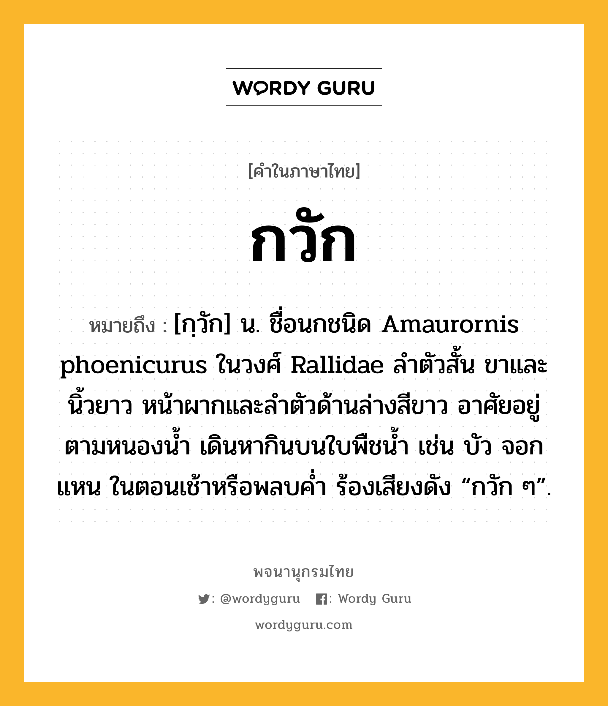 กวัก หมายถึงอะไร?, คำในภาษาไทย กวัก หมายถึง [กฺวัก] น. ชื่อนกชนิด Amaurornis phoenicurus ในวงศ์ Rallidae ลําตัวสั้น ขาและนิ้วยาว หน้าผากและลําตัวด้านล่างสีขาว อาศัยอยู่ตามหนองนํ้า เดินหากินบนใบพืชนํ้า เช่น บัว จอก แหน ในตอนเช้าหรือพลบคํ่า ร้องเสียงดัง “กวัก ๆ”.