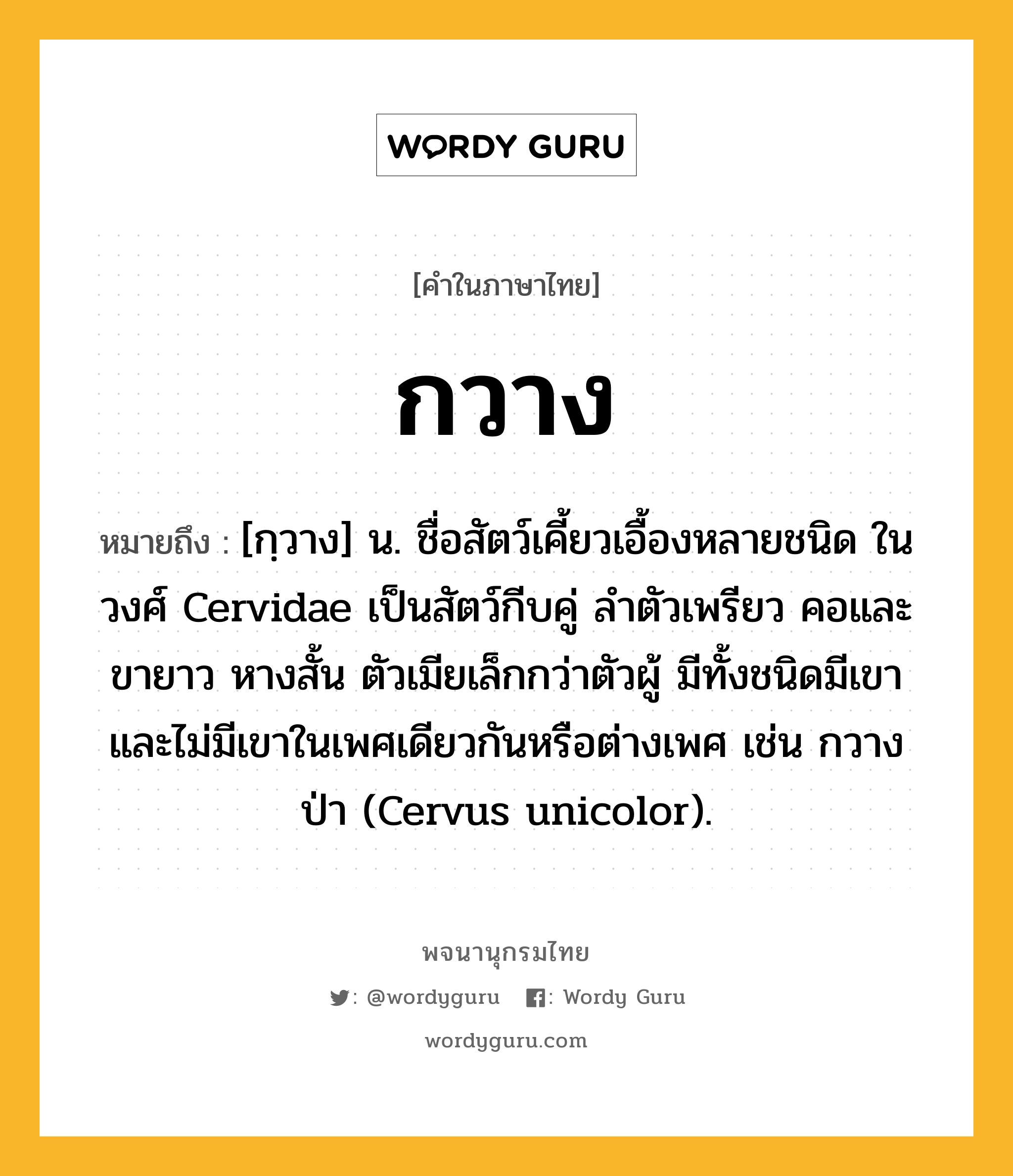 กวาง หมายถึงอะไร?, คำในภาษาไทย กวาง หมายถึง [กฺวาง] น. ชื่อสัตว์เคี้ยวเอื้องหลายชนิด ในวงศ์ Cervidae เป็นสัตว์กีบคู่ ลำตัวเพรียว คอและขายาว หางสั้น ตัวเมียเล็กกว่าตัวผู้ มีทั้งชนิดมีเขาและไม่มีเขาในเพศเดียวกันหรือต่างเพศ เช่น กวางป่า (Cervus unicolor).