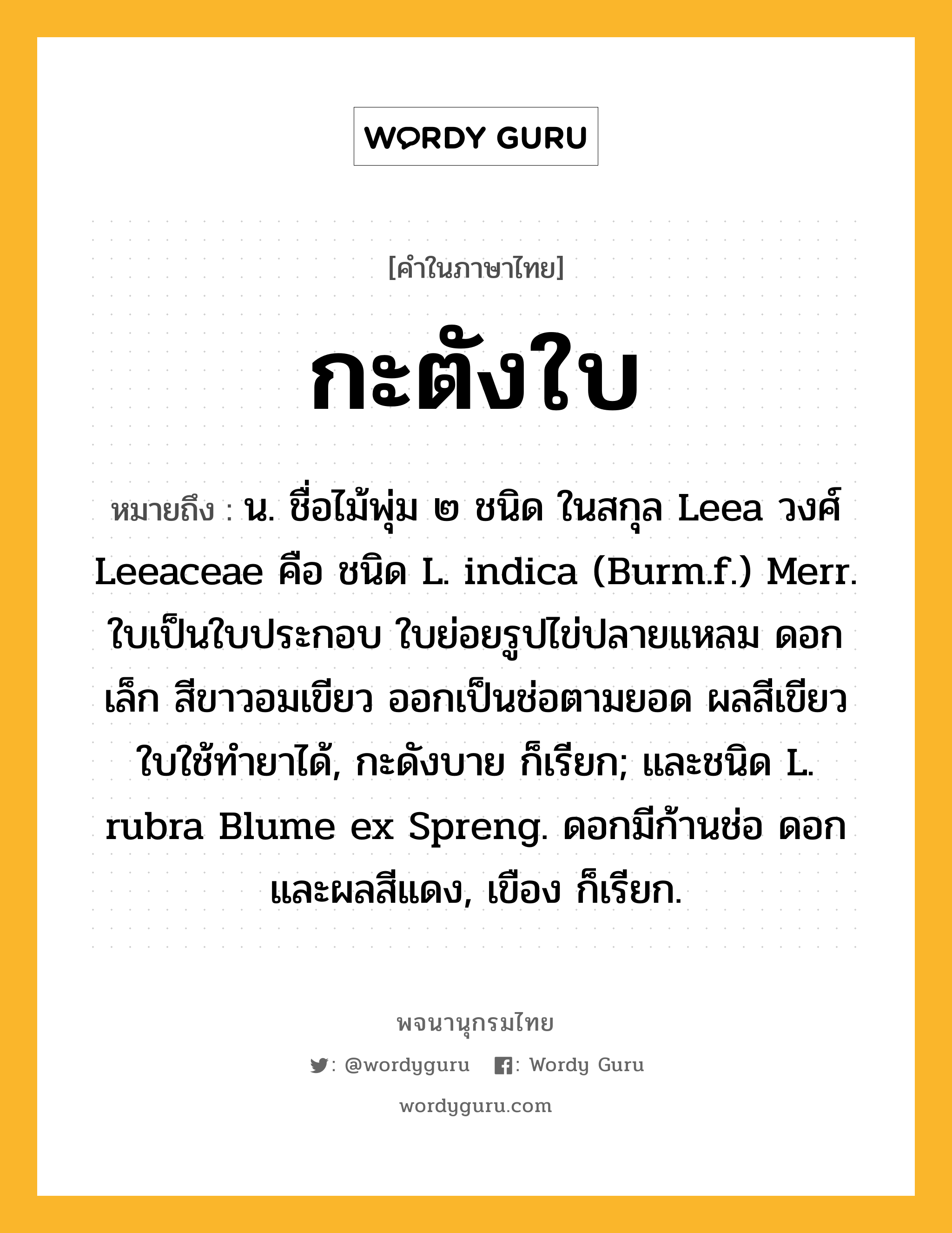 กะตังใบ หมายถึงอะไร?, คำในภาษาไทย กะตังใบ หมายถึง น. ชื่อไม้พุ่ม ๒ ชนิด ในสกุล Leea วงศ์ Leeaceae คือ ชนิด L. indica (Burm.f.) Merr. ใบเป็นใบประกอบ ใบย่อยรูปไข่ปลายแหลม ดอกเล็ก สีขาวอมเขียว ออกเป็นช่อตามยอด ผลสีเขียว ใบใช้ทํายาได้, กะดังบาย ก็เรียก; และชนิด L. rubra Blume ex Spreng. ดอกมีก้านช่อ ดอกและผลสีแดง, เขือง ก็เรียก.