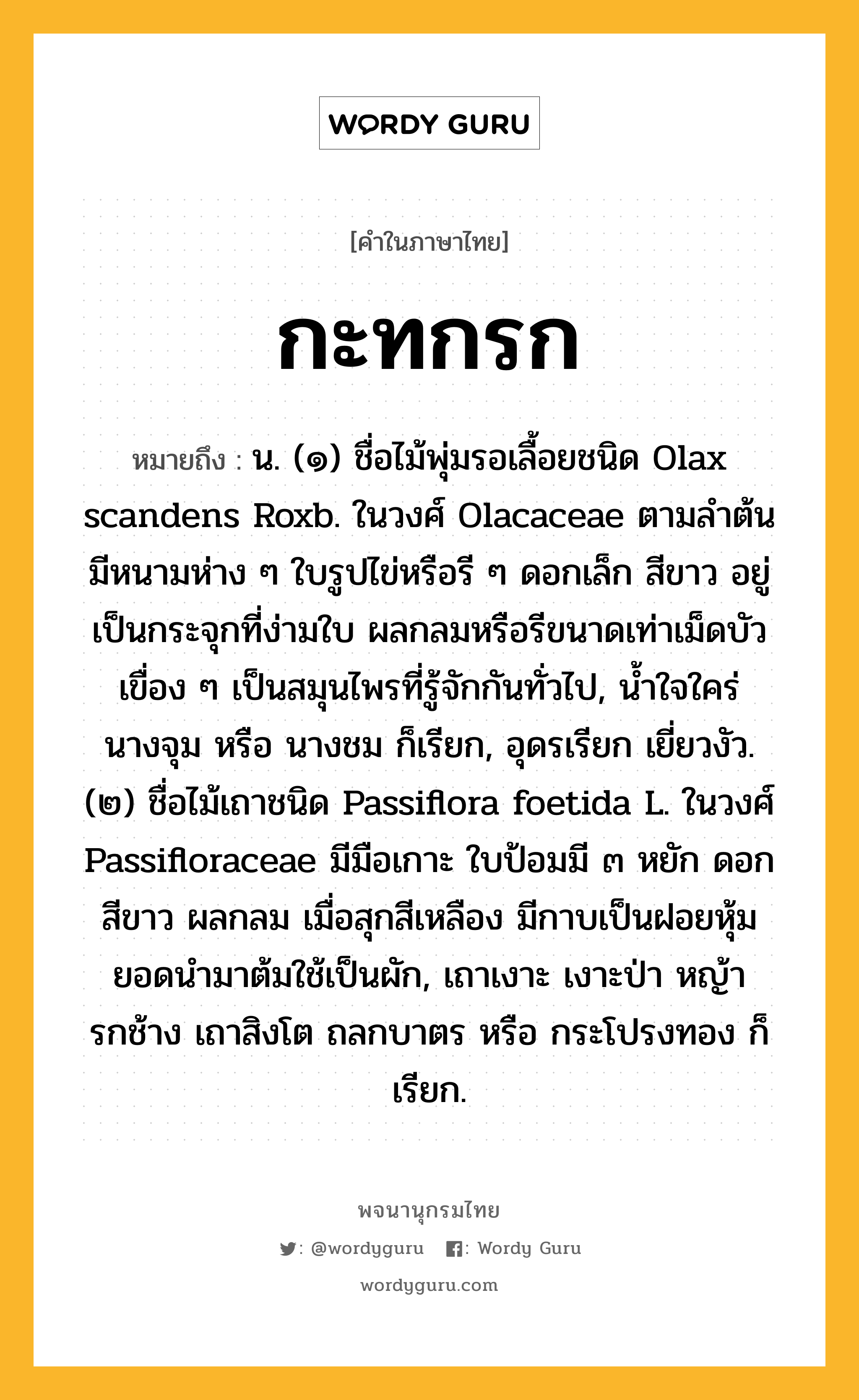 กะทกรก หมายถึงอะไร?, คำในภาษาไทย กะทกรก หมายถึง น. (๑) ชื่อไม้พุ่มรอเลื้อยชนิด Olax scandens Roxb. ในวงศ์ Olacaceae ตามลําต้นมีหนามห่าง ๆ ใบรูปไข่หรือรี ๆ ดอกเล็ก สีขาว อยู่เป็นกระจุกที่ง่ามใบ ผลกลมหรือรีขนาดเท่าเม็ดบัวเขื่อง ๆ เป็นสมุนไพรที่รู้จักกันทั่วไป, นํ้าใจใคร่ นางจุม หรือ นางชม ก็เรียก, อุดรเรียก เยี่ยวงัว. (๒) ชื่อไม้เถาชนิด Passiflora foetida L. ในวงศ์ Passifloraceae มีมือเกาะ ใบป้อมมี ๓ หยัก ดอกสีขาว ผลกลม เมื่อสุกสีเหลือง มีกาบเป็นฝอยหุ้ม ยอดนํามาต้มใช้เป็นผัก, เถาเงาะ เงาะป่า หญ้ารกช้าง เถาสิงโต ถลกบาตร หรือ กระโปรงทอง ก็เรียก.