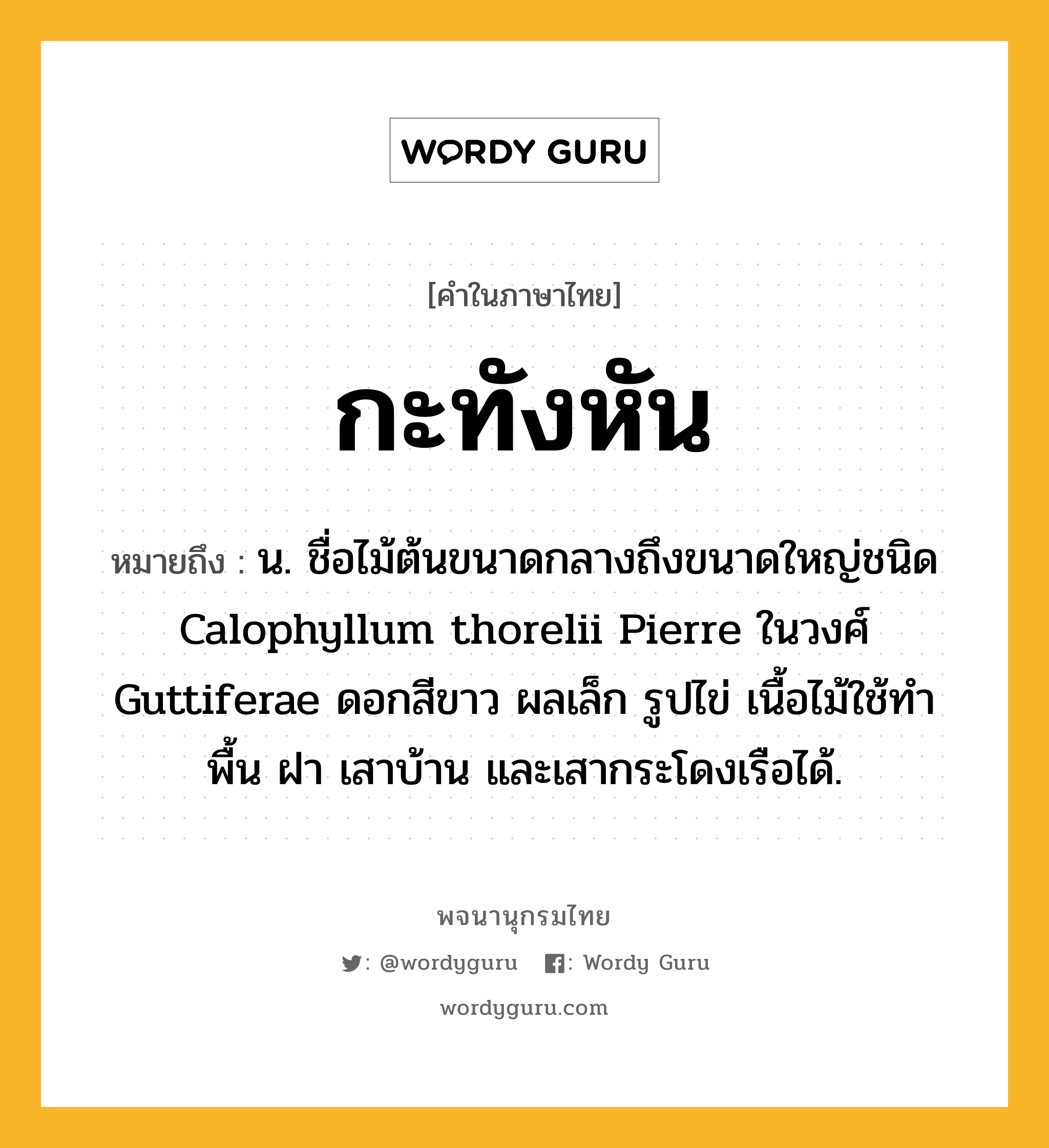 กะทังหัน หมายถึงอะไร?, คำในภาษาไทย กะทังหัน หมายถึง น. ชื่อไม้ต้นขนาดกลางถึงขนาดใหญ่ชนิด Calophyllum thorelii Pierre ในวงศ์ Guttiferae ดอกสีขาว ผลเล็ก รูปไข่ เนื้อไม้ใช้ทําพื้น ฝา เสาบ้าน และเสากระโดงเรือได้.