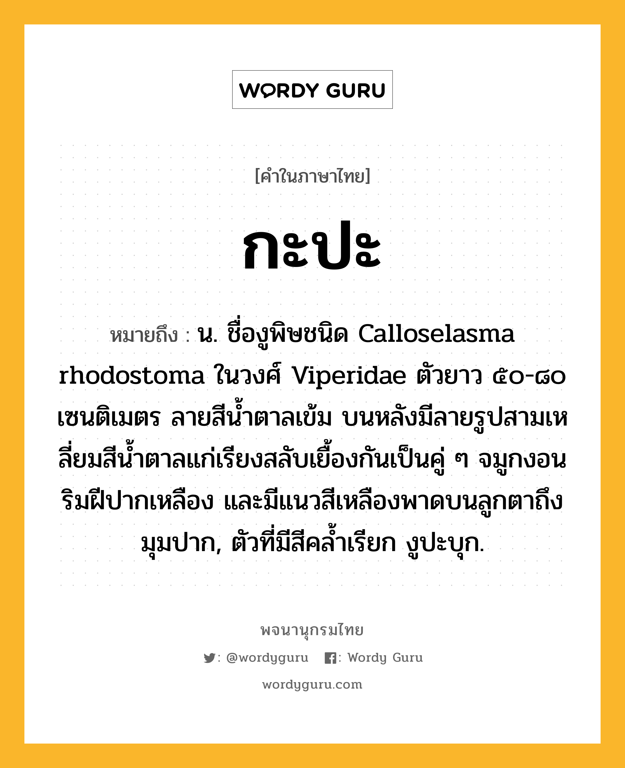 กะปะ ความหมาย หมายถึงอะไร?, คำในภาษาไทย กะปะ หมายถึง น. ชื่องูพิษชนิด Calloselasma rhodostoma ในวงศ์ Viperidae ตัวยาว ๕๐-๘๐ เซนติเมตร ลายสีนํ้าตาลเข้ม บนหลังมีลายรูปสามเหลี่ยมสีนํ้าตาลแก่เรียงสลับเยื้องกันเป็นคู่ ๆ จมูกงอน ริมฝีปากเหลือง และมีแนวสีเหลืองพาดบนลูกตาถึงมุมปาก, ตัวที่มีสีคลํ้าเรียก งูปะบุก.