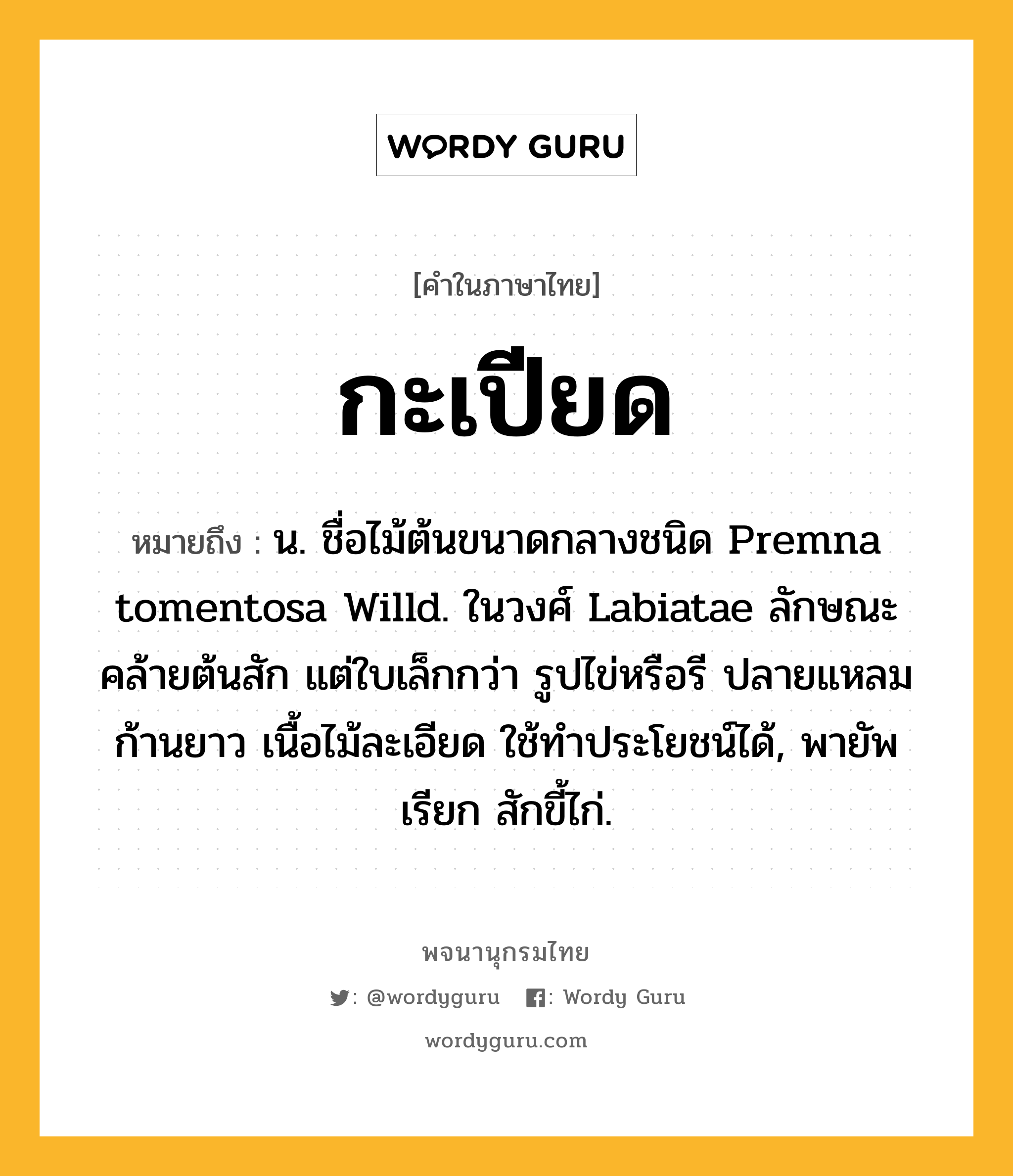 กะเปียด ความหมาย หมายถึงอะไร?, คำในภาษาไทย กะเปียด หมายถึง น. ชื่อไม้ต้นขนาดกลางชนิด Premna tomentosa Willd. ในวงศ์ Labiatae ลักษณะคล้ายต้นสัก แต่ใบเล็กกว่า รูปไข่หรือรี ปลายแหลมก้านยาว เนื้อไม้ละเอียด ใช้ทําประโยชน์ได้, พายัพเรียก สักขี้ไก่.