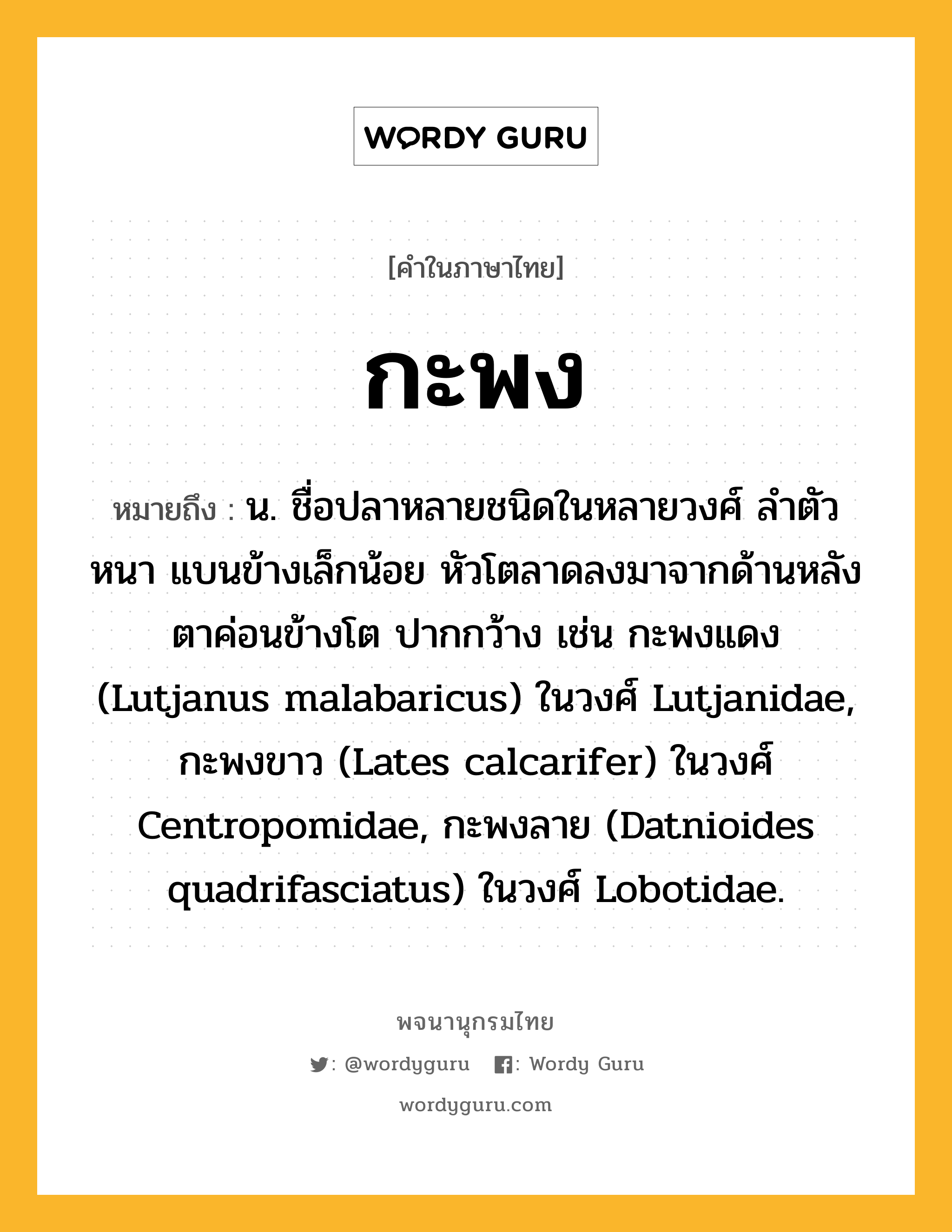 กะพง ความหมาย หมายถึงอะไร?, คำในภาษาไทย กะพง หมายถึง น. ชื่อปลาหลายชนิดในหลายวงศ์ ลำตัวหนา แบนข้างเล็กน้อย หัวโตลาดลงมาจากด้านหลัง ตาค่อนข้างโต ปากกว้าง เช่น กะพงแดง (Lutjanus malabaricus) ในวงศ์ Lutjanidae, กะพงขาว (Lates calcarifer) ในวงศ์ Centropomidae, กะพงลาย (Datnioides quadrifasciatus) ในวงศ์ Lobotidae.