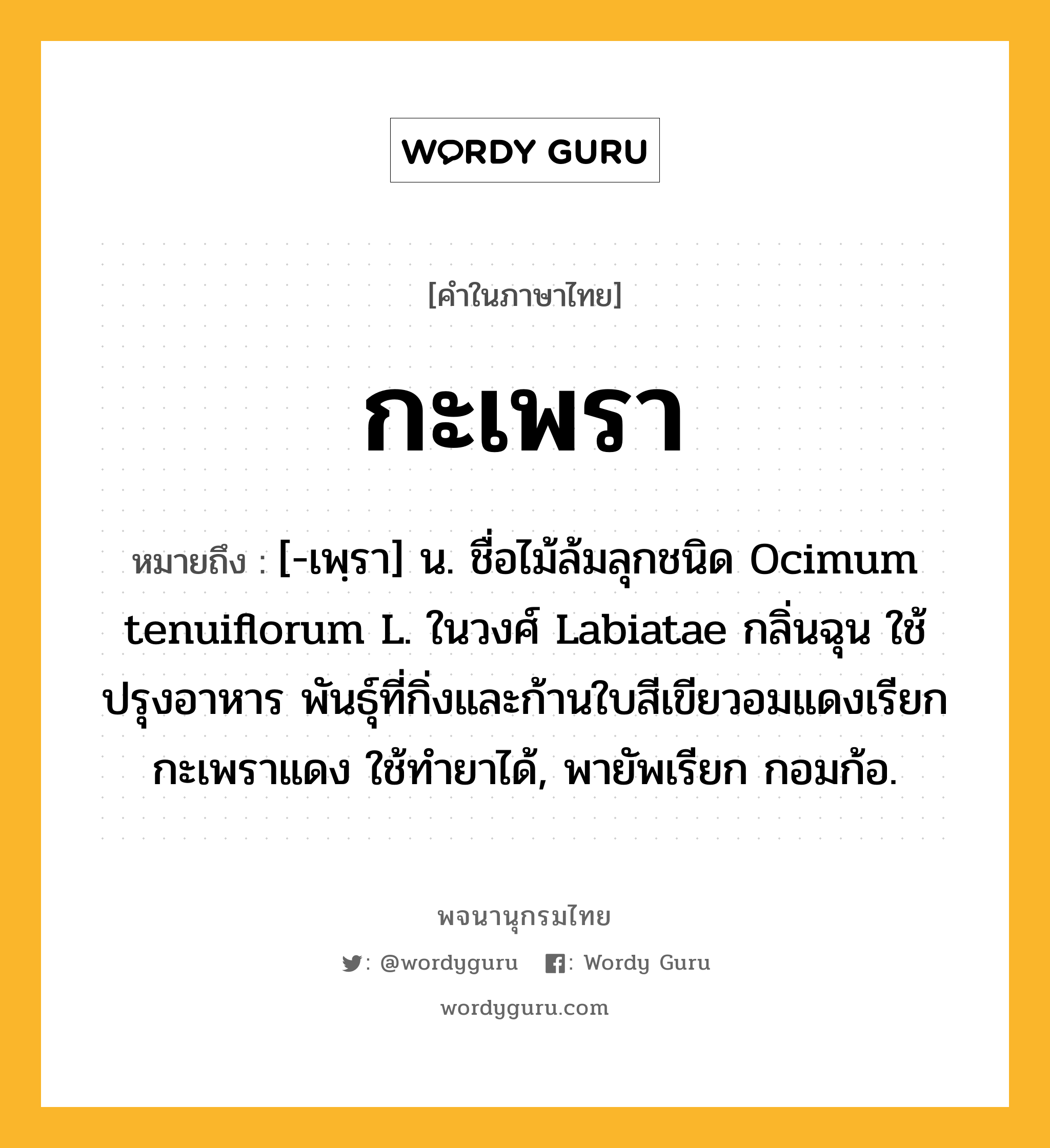 กะเพรา ความหมาย หมายถึงอะไร?, คำในภาษาไทย กะเพรา หมายถึง [-เพฺรา] น. ชื่อไม้ล้มลุกชนิด Ocimum tenuiflorum L. ในวงศ์ Labiatae กลิ่นฉุน ใช้ปรุงอาหาร พันธุ์ที่กิ่งและก้านใบสีเขียวอมแดงเรียก กะเพราแดง ใช้ทํายาได้, พายัพเรียก กอมก้อ.