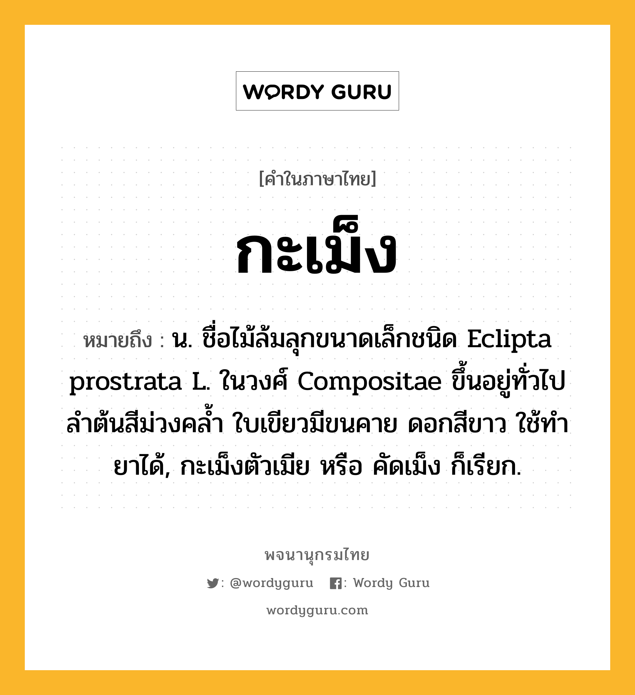 กะเม็ง ความหมาย หมายถึงอะไร?, คำในภาษาไทย กะเม็ง หมายถึง น. ชื่อไม้ล้มลุกขนาดเล็กชนิด Eclipta prostrata L. ในวงศ์ Compositae ขึ้นอยู่ทั่วไป ลําต้นสีม่วงคลํ้า ใบเขียวมีขนคาย ดอกสีขาว ใช้ทํายาได้, กะเม็งตัวเมีย หรือ คัดเม็ง ก็เรียก.