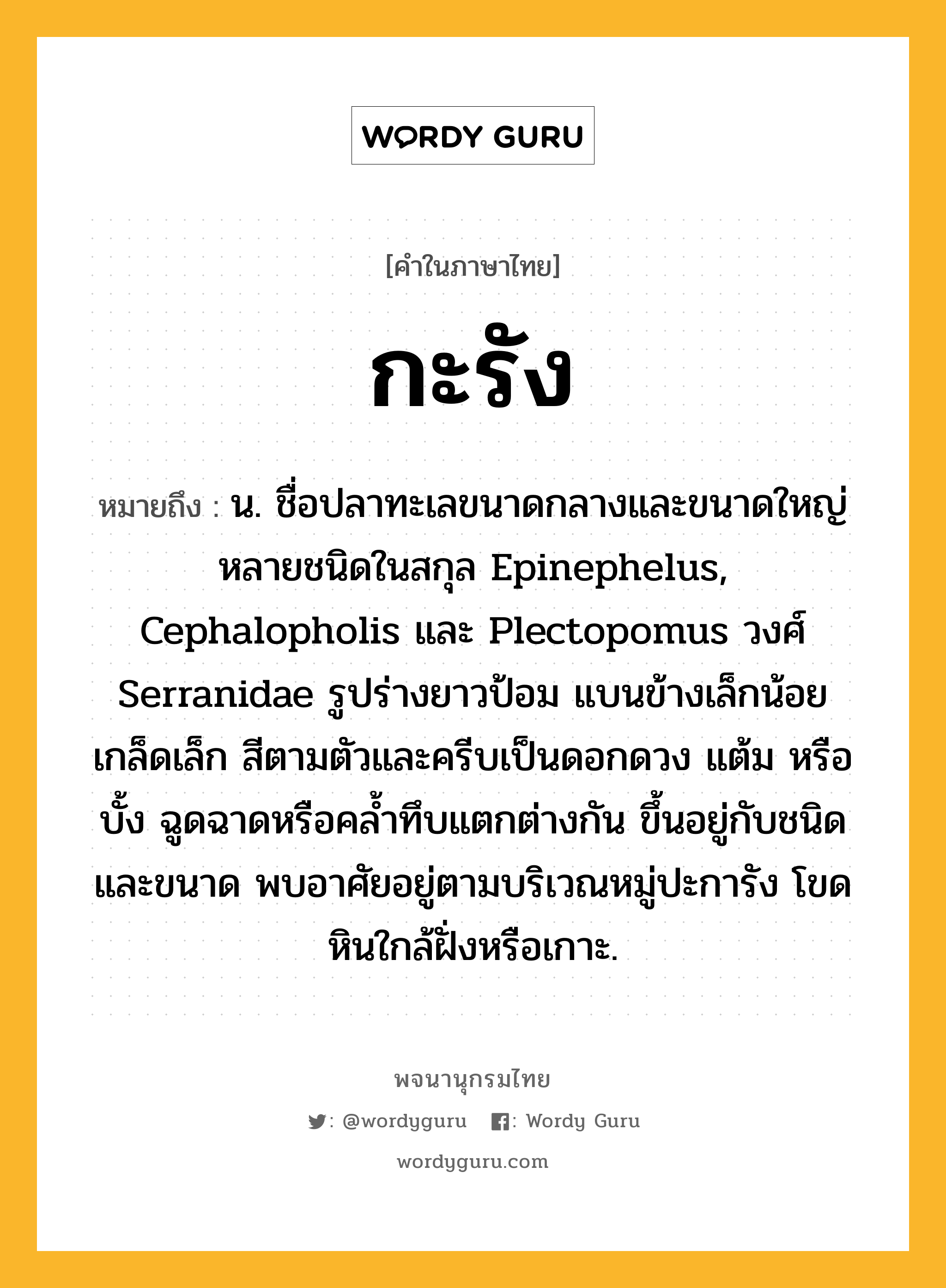 กะรัง หมายถึงอะไร?, คำในภาษาไทย กะรัง หมายถึง น. ชื่อปลาทะเลขนาดกลางและขนาดใหญ่หลายชนิดในสกุล Epinephelus, Cephalopholis และ Plectopomus วงศ์ Serranidae รูปร่างยาวป้อม แบนข้างเล็กน้อย เกล็ดเล็ก สีตามตัวและครีบเป็นดอกดวง แต้ม หรือบั้ง ฉูดฉาดหรือคลํ้าทึบแตกต่างกัน ขึ้นอยู่กับชนิดและขนาด พบอาศัยอยู่ตามบริเวณหมู่ปะการัง โขดหินใกล้ฝั่งหรือเกาะ.