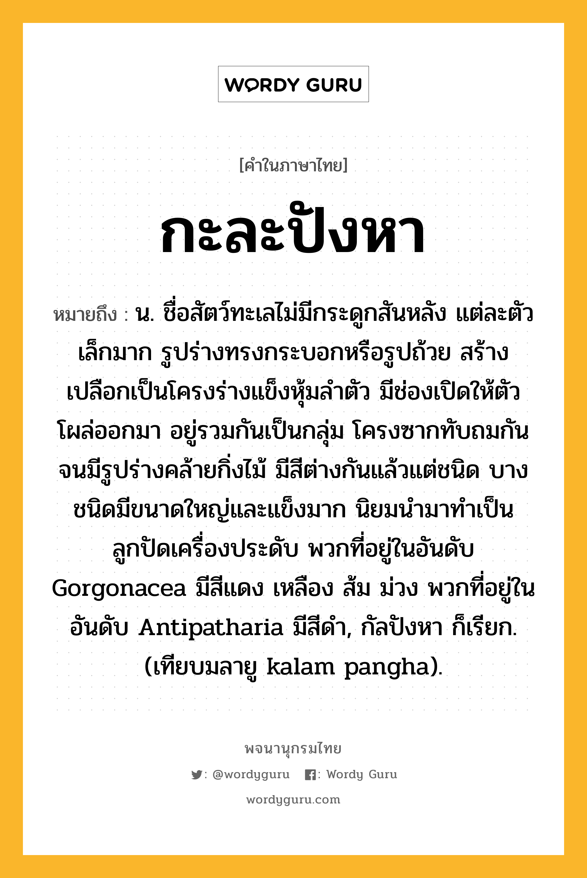 กะละปังหา หมายถึงอะไร?, คำในภาษาไทย กะละปังหา หมายถึง น. ชื่อสัตว์ทะเลไม่มีกระดูกสันหลัง แต่ละตัวเล็กมาก รูปร่างทรงกระบอกหรือรูปถ้วย สร้างเปลือกเป็นโครงร่างแข็งหุ้มลําตัว มีช่องเปิดให้ตัวโผล่ออกมา อยู่รวมกันเป็นกลุ่ม โครงซากทับถมกันจนมีรูปร่างคล้ายกิ่งไม้ มีสีต่างกันแล้วแต่ชนิด บางชนิดมีขนาดใหญ่และแข็งมาก นิยมนํามาทําเป็นลูกปัดเครื่องประดับ พวกที่อยู่ในอันดับ Gorgonacea มีสีแดง เหลือง ส้ม ม่วง พวกที่อยู่ในอันดับ Antipatharia มีสีดํา, กัลปังหา ก็เรียก. (เทียบมลายู kalam pangha).