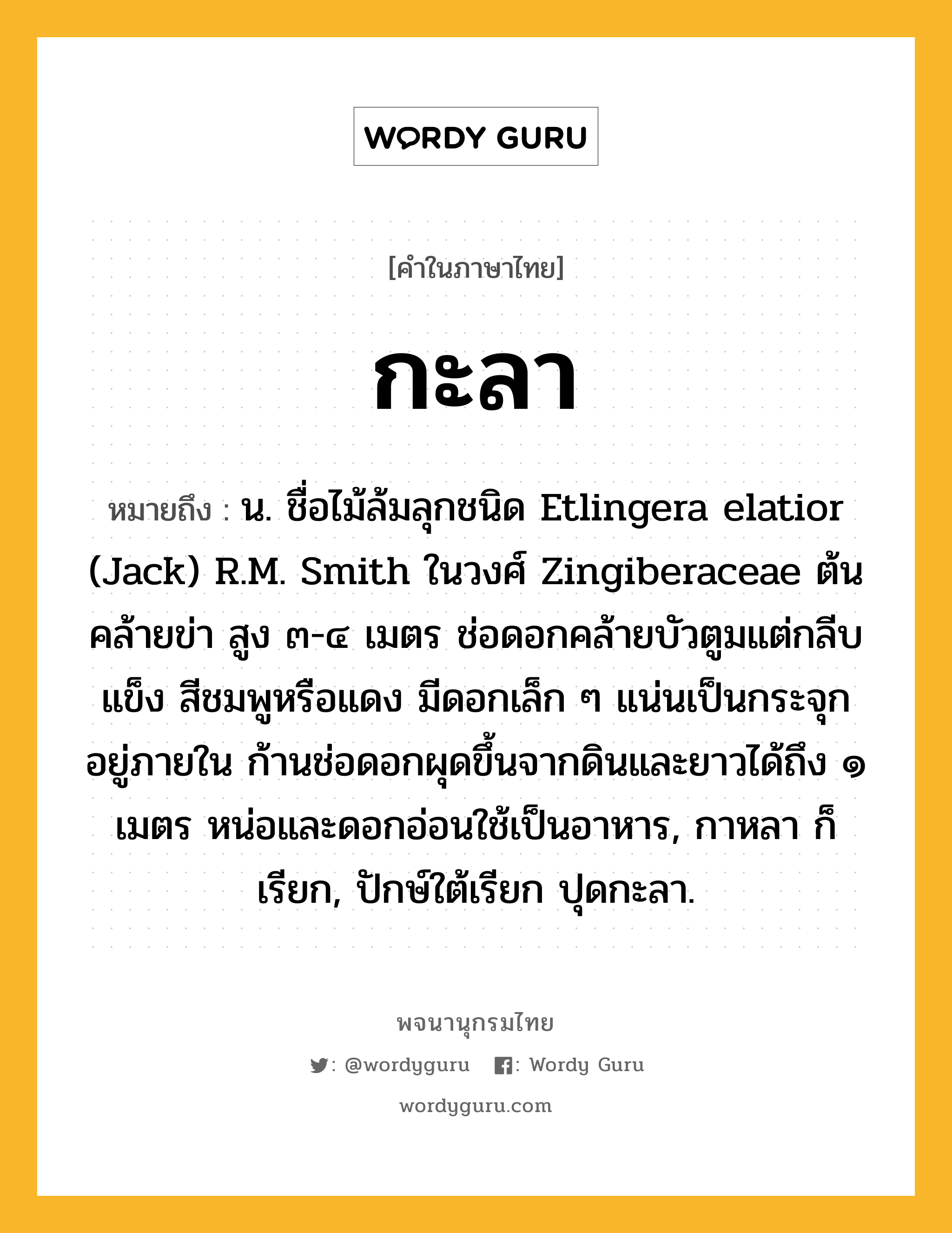 กะลา หมายถึงอะไร?, คำในภาษาไทย กะลา หมายถึง น. ชื่อไม้ล้มลุกชนิด Etlingera elatior (Jack) R.M. Smith ในวงศ์ Zingiberaceae ต้นคล้ายข่า สูง ๓-๔ เมตร ช่อดอกคล้ายบัวตูมแต่กลีบแข็ง สีชมพูหรือแดง มีดอกเล็ก ๆ แน่นเป็นกระจุกอยู่ภายใน ก้านช่อดอกผุดขึ้นจากดินและยาวได้ถึง ๑ เมตร หน่อและดอกอ่อนใช้เป็นอาหาร, กาหลา ก็เรียก, ปักษ์ใต้เรียก ปุดกะลา.