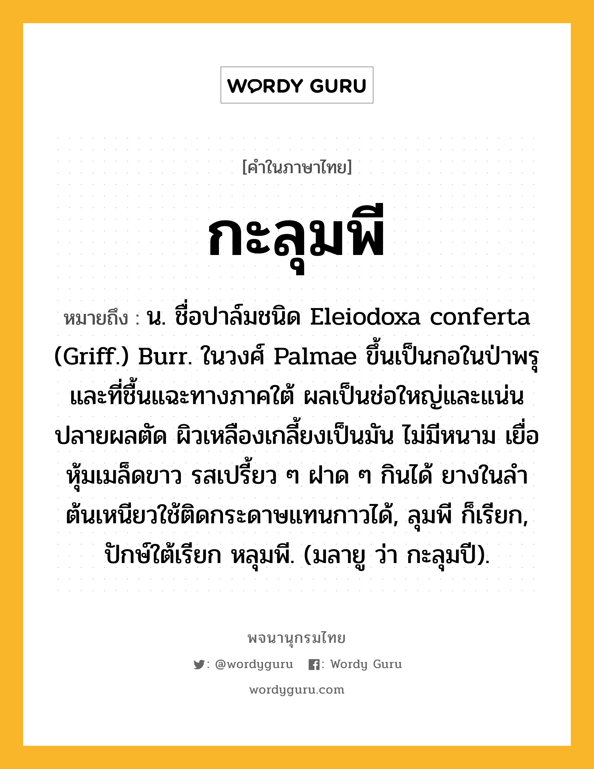 กะลุมพี หมายถึงอะไร?, คำในภาษาไทย กะลุมพี หมายถึง น. ชื่อปาล์มชนิด Eleiodoxa conferta (Griff.) Burr. ในวงศ์ Palmae ขึ้นเป็นกอในป่าพรุและที่ชื้นแฉะทางภาคใต้ ผลเป็นช่อใหญ่และแน่น ปลายผลตัด ผิวเหลืองเกลี้ยงเป็นมัน ไม่มีหนาม เยื่อหุ้มเมล็ดขาว รสเปรี้ยว ๆ ฝาด ๆ กินได้ ยางในลําต้นเหนียวใช้ติดกระดาษแทนกาวได้, ลุมพี ก็เรียก, ปักษ์ใต้เรียก หลุมพี. (มลายู ว่า กะลุมปี).