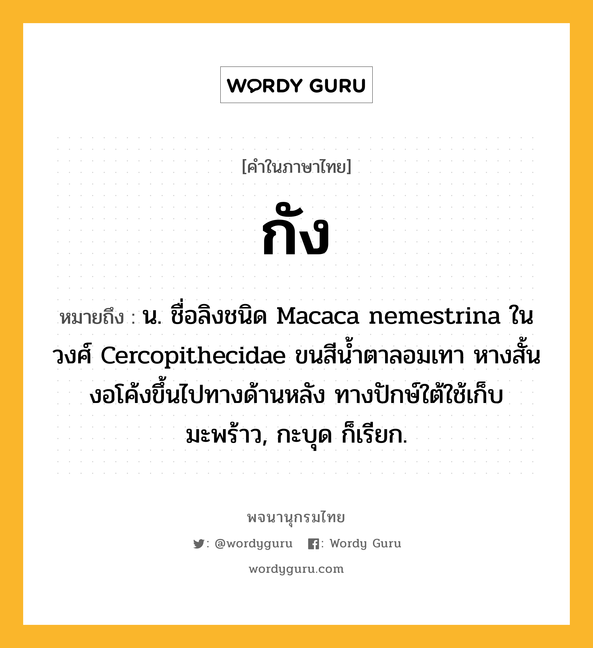 กัง ความหมาย หมายถึงอะไร?, คำในภาษาไทย กัง หมายถึง น. ชื่อลิงชนิด Macaca nemestrina ในวงศ์ Cercopithecidae ขนสีน้ำตาลอมเทา หางสั้นงอโค้งขึ้นไปทางด้านหลัง ทางปักษ์ใต้ใช้เก็บมะพร้าว, กะบุด ก็เรียก.