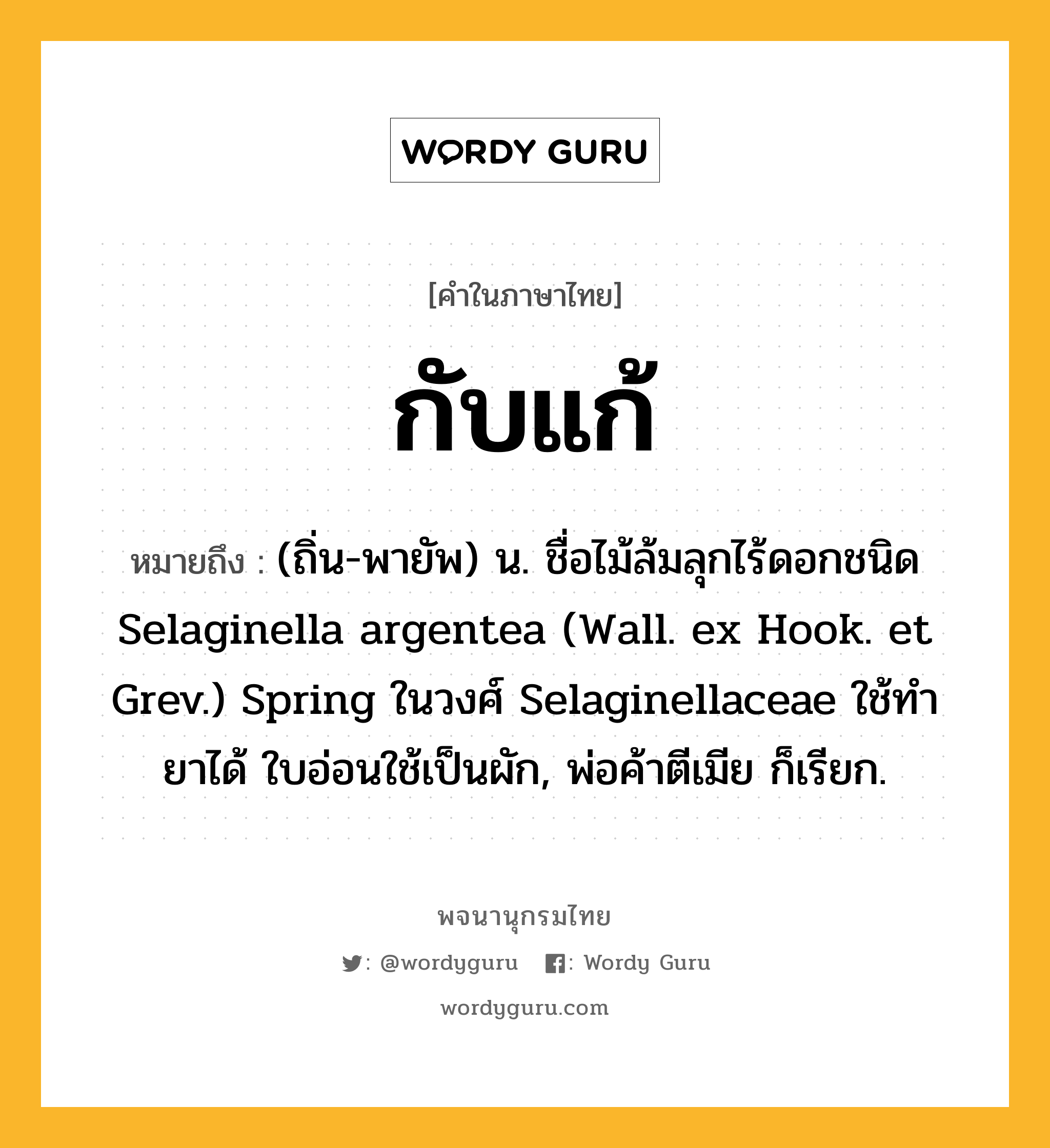 กับแก้ หมายถึงอะไร?, คำในภาษาไทย กับแก้ หมายถึง (ถิ่น-พายัพ) น. ชื่อไม้ล้มลุกไร้ดอกชนิด Selaginella argentea (Wall. ex Hook. et Grev.) Spring ในวงศ์ Selaginellaceae ใช้ทำยาได้ ใบอ่อนใช้เป็นผัก, พ่อค้าตีเมีย ก็เรียก.