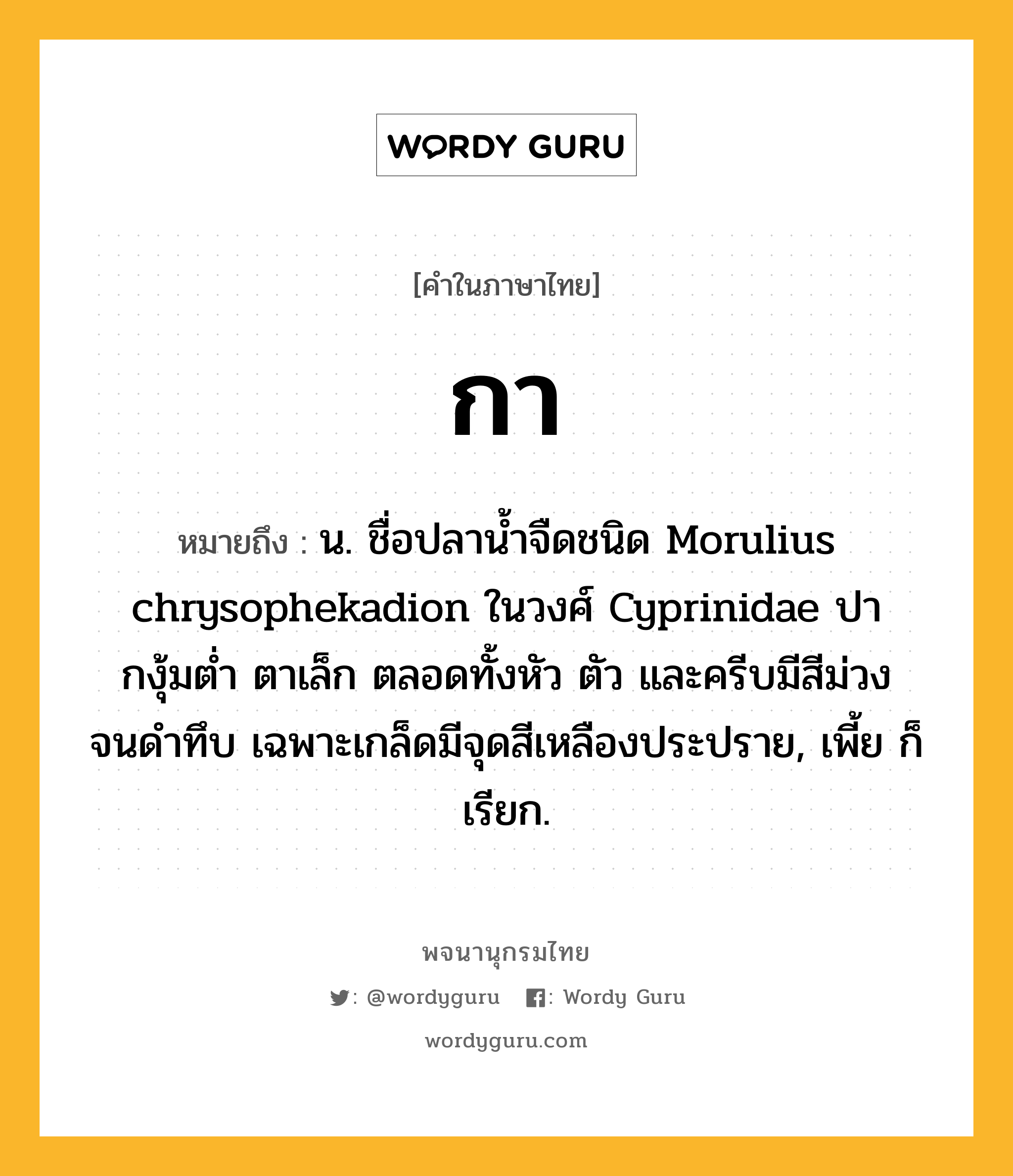 กา หมายถึงอะไร?, คำในภาษาไทย กา หมายถึง น. ชื่อปลานํ้าจืดชนิด Morulius chrysophekadion ในวงศ์ Cyprinidae ปากงุ้มตํ่า ตาเล็ก ตลอดทั้งหัว ตัว และครีบมีสีม่วงจนดําทึบ เฉพาะเกล็ดมีจุดสีเหลืองประปราย, เพี้ย ก็เรียก.