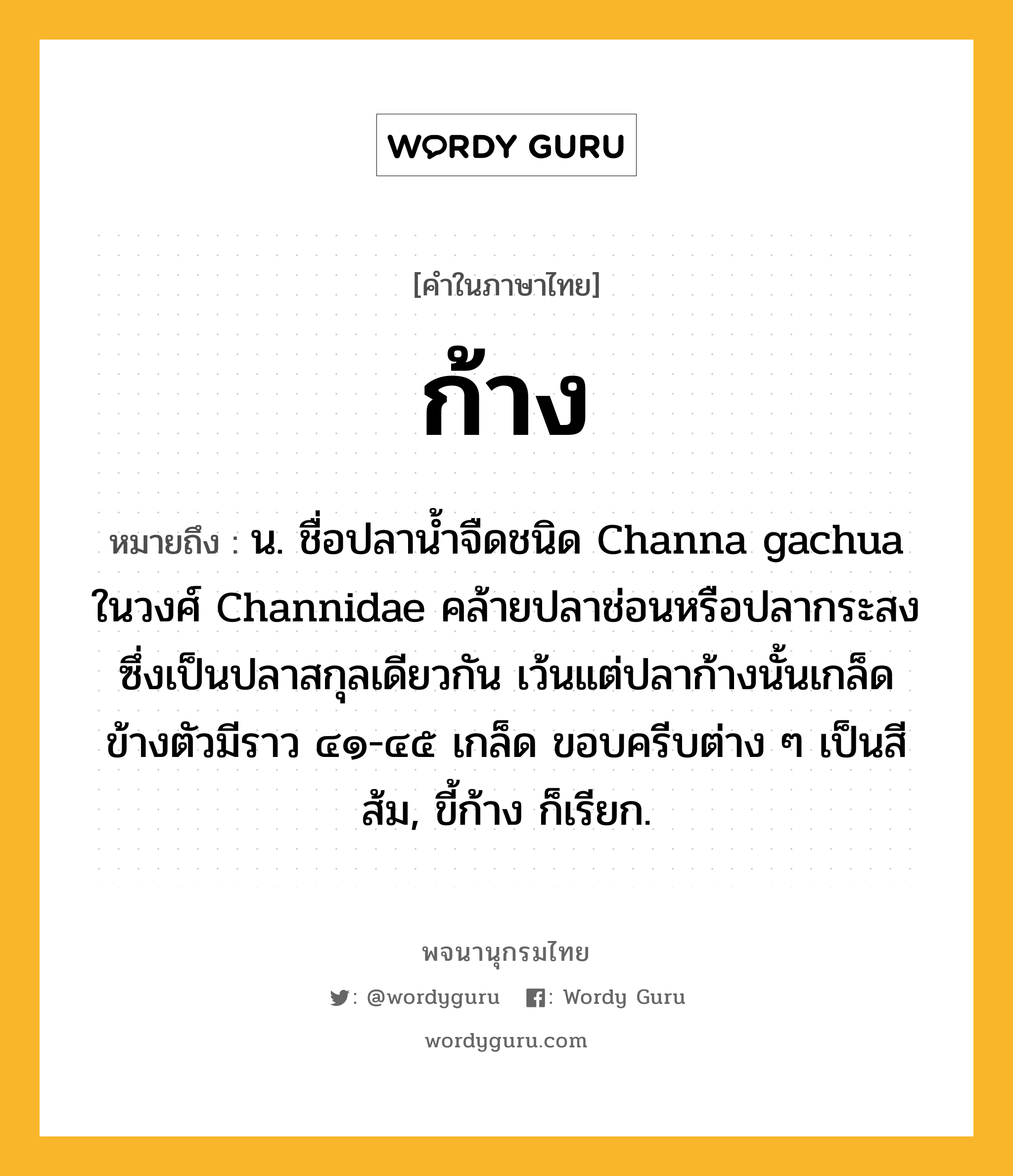 ก้าง หมายถึงอะไร?, คำในภาษาไทย ก้าง หมายถึง น. ชื่อปลานํ้าจืดชนิด Channa gachua ในวงศ์ Channidae คล้ายปลาช่อนหรือปลากระสงซึ่งเป็นปลาสกุลเดียวกัน เว้นแต่ปลาก้างนั้นเกล็ดข้างตัวมีราว ๔๑-๔๕ เกล็ด ขอบครีบต่าง ๆ เป็นสีส้ม, ขี้ก้าง ก็เรียก.