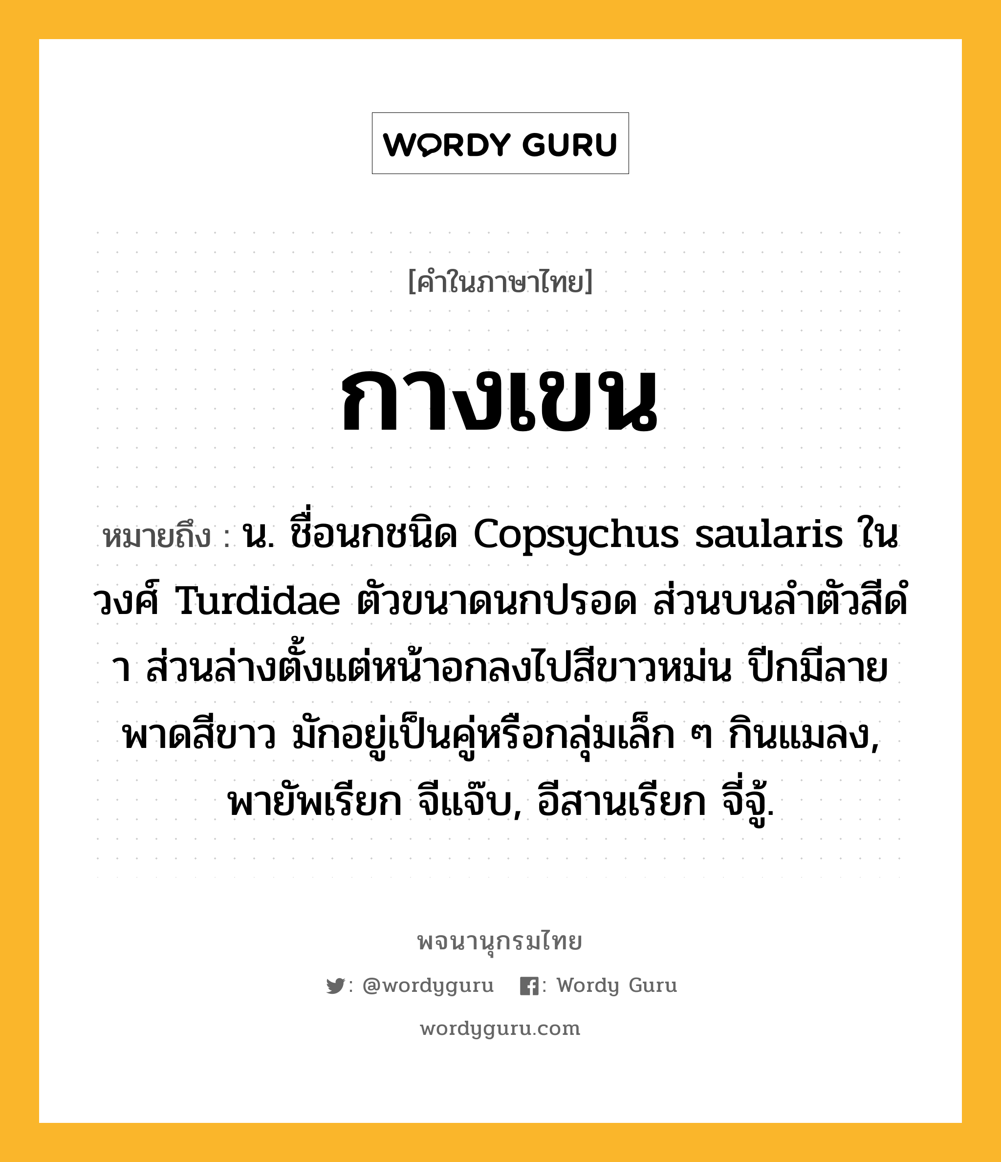 กางเขน ความหมาย หมายถึงอะไร?, คำในภาษาไทย กางเขน หมายถึง น. ชื่อนกชนิด Copsychus saularis ในวงศ์ Turdidae ตัวขนาดนกปรอด ส่วนบนลําตัวสีดํา ส่วนล่างตั้งแต่หน้าอกลงไปสีขาวหม่น ปีกมีลายพาดสีขาว มักอยู่เป็นคู่หรือกลุ่มเล็ก ๆ กินแมลง, พายัพเรียก จีแจ๊บ, อีสานเรียก จี่จู้.