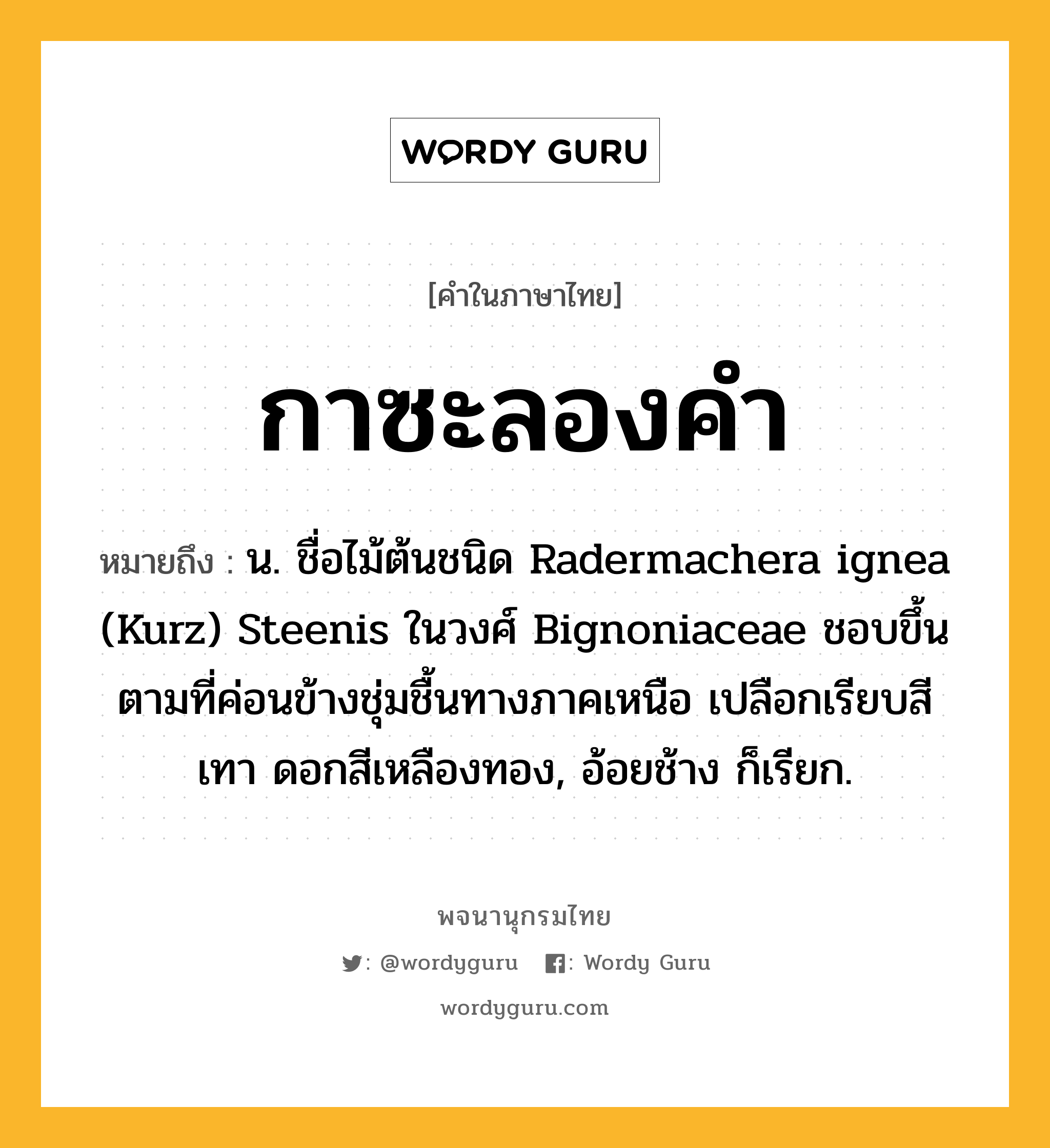 กาซะลองคำ ความหมาย หมายถึงอะไร?, คำในภาษาไทย กาซะลองคำ หมายถึง น. ชื่อไม้ต้นชนิด Radermachera ignea (Kurz) Steenis ในวงศ์ Bignoniaceae ชอบขึ้นตามที่ค่อนข้างชุ่มชื้นทางภาคเหนือ เปลือกเรียบสีเทา ดอกสีเหลืองทอง, อ้อยช้าง ก็เรียก.