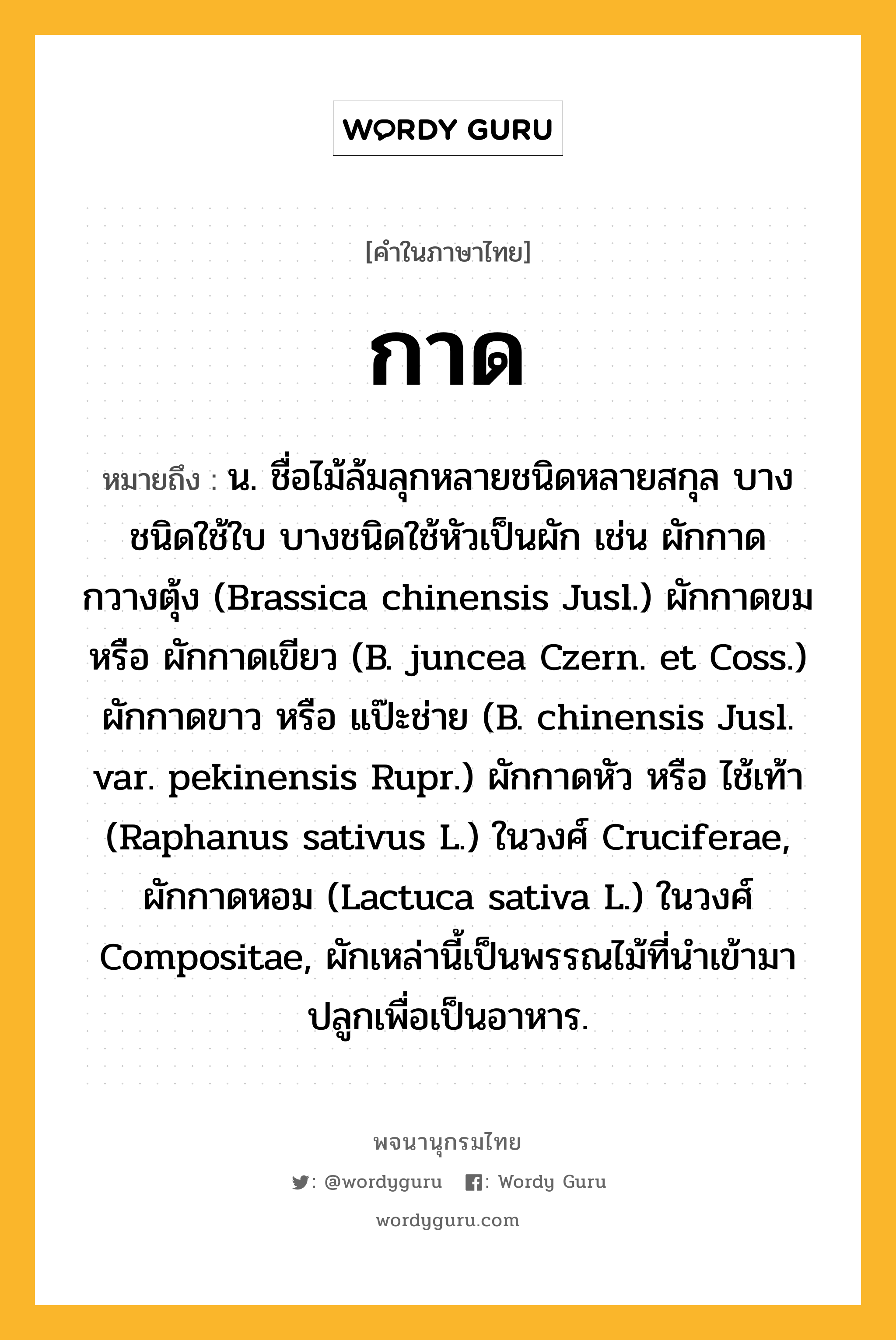 กาด หมายถึงอะไร?, คำในภาษาไทย กาด หมายถึง น. ชื่อไม้ล้มลุกหลายชนิดหลายสกุล บางชนิดใช้ใบ บางชนิดใช้หัวเป็นผัก เช่น ผักกาดกวางตุ้ง (Brassica chinensis Jusl.) ผักกาดขม หรือ ผักกาดเขียว (B. juncea Czern. et Coss.) ผักกาดขาว หรือ แป๊ะช่าย (B. chinensis Jusl. var. pekinensis Rupr.) ผักกาดหัว หรือ ไช้เท้า (Raphanus sativus L.) ในวงศ์ Cruciferae, ผักกาดหอม (Lactuca sativa L.) ในวงศ์ Compositae, ผักเหล่านี้เป็นพรรณไม้ที่นําเข้ามาปลูกเพื่อเป็นอาหาร.