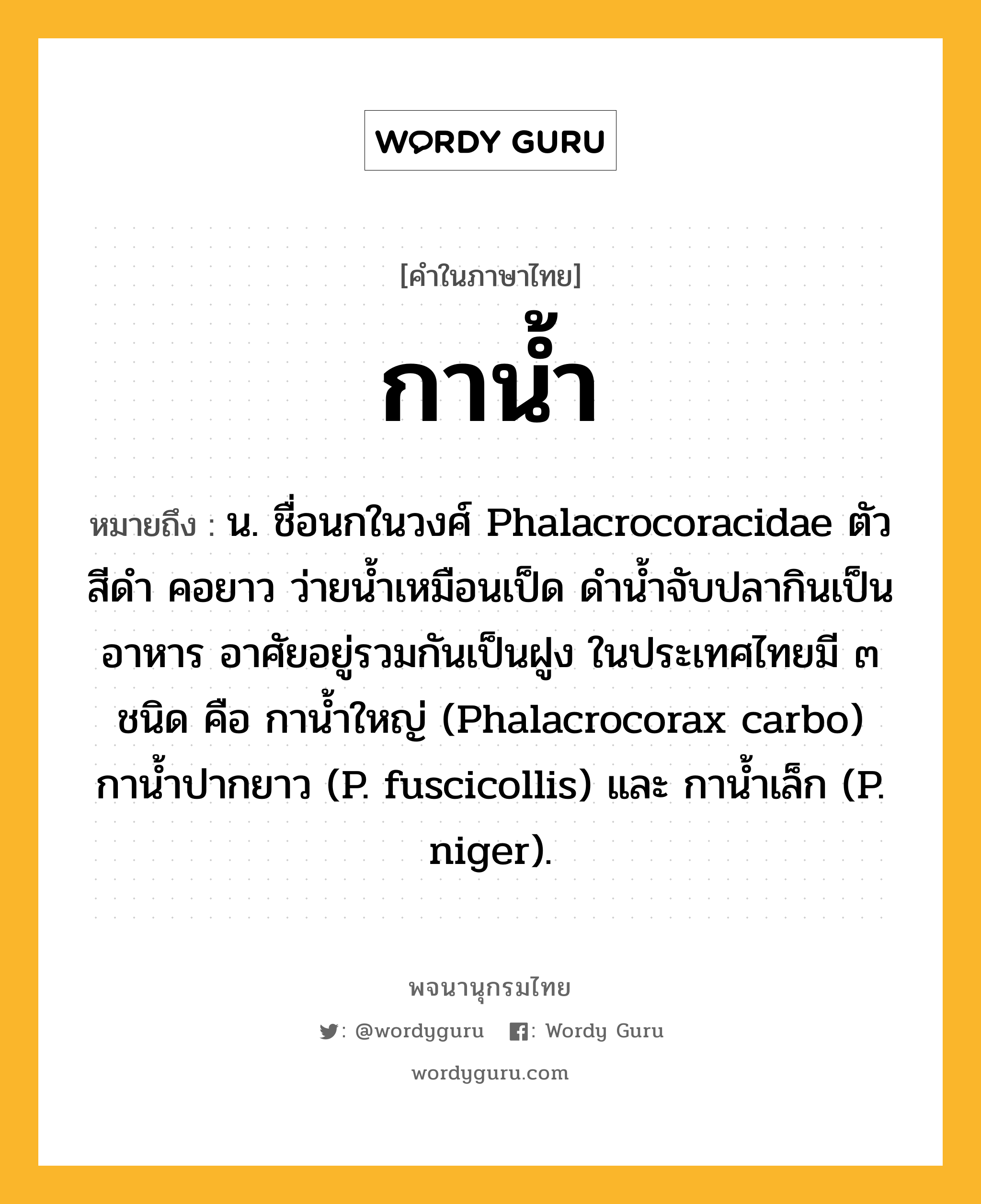 กาน้ำ ความหมาย หมายถึงอะไร?, คำในภาษาไทย กาน้ำ หมายถึง น. ชื่อนกในวงศ์ Phalacrocoracidae ตัวสีดํา คอยาว ว่ายนํ้าเหมือนเป็ด ดํานํ้าจับปลากินเป็นอาหาร อาศัยอยู่รวมกันเป็นฝูง ในประเทศไทยมี ๓ ชนิด คือ กานํ้าใหญ่ (Phalacrocorax carbo) กานํ้าปากยาว (P. fuscicollis) และ กานํ้าเล็ก (P. niger).