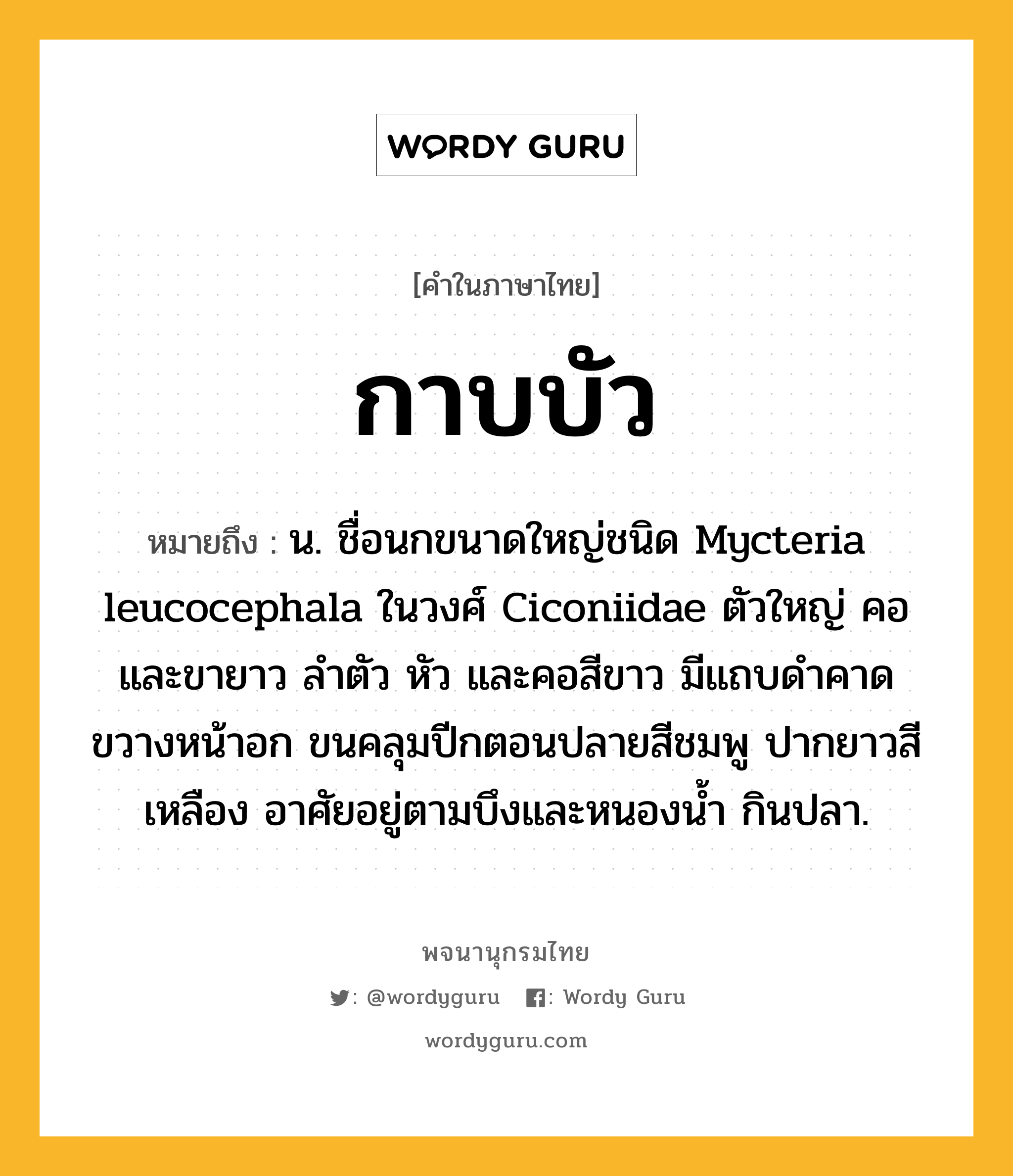 กาบบัว หมายถึงอะไร?, คำในภาษาไทย กาบบัว หมายถึง น. ชื่อนกขนาดใหญ่ชนิด Mycteria leucocephala ในวงศ์ Ciconiidae ตัวใหญ่ คอและขายาว ลําตัว หัว และคอสีขาว มีแถบดําคาดขวางหน้าอก ขนคลุมปีกตอนปลายสีชมพู ปากยาวสีเหลือง อาศัยอยู่ตามบึงและหนองนํ้า กินปลา.