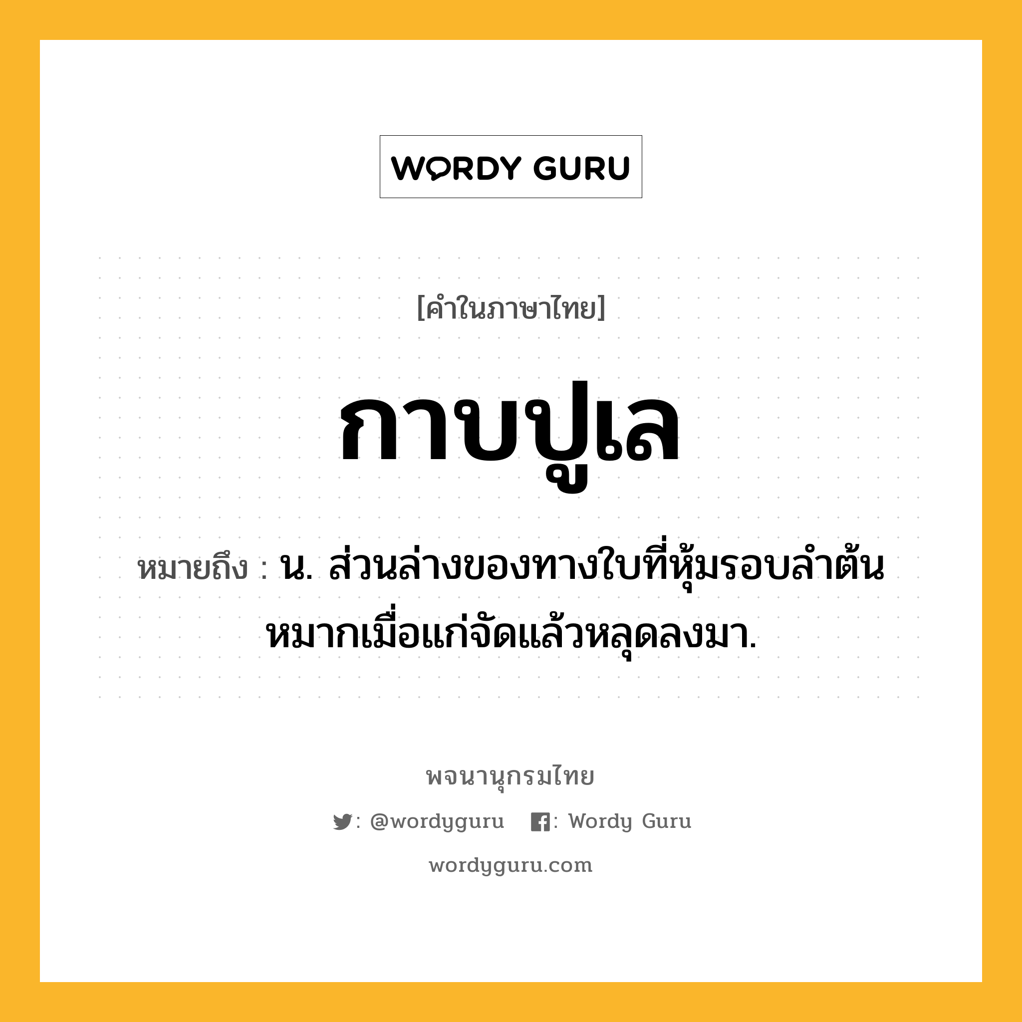 กาบปูเล หมายถึงอะไร?, คำในภาษาไทย กาบปูเล หมายถึง น. ส่วนล่างของทางใบที่หุ้มรอบลําต้นหมากเมื่อแก่จัดแล้วหลุดลงมา.