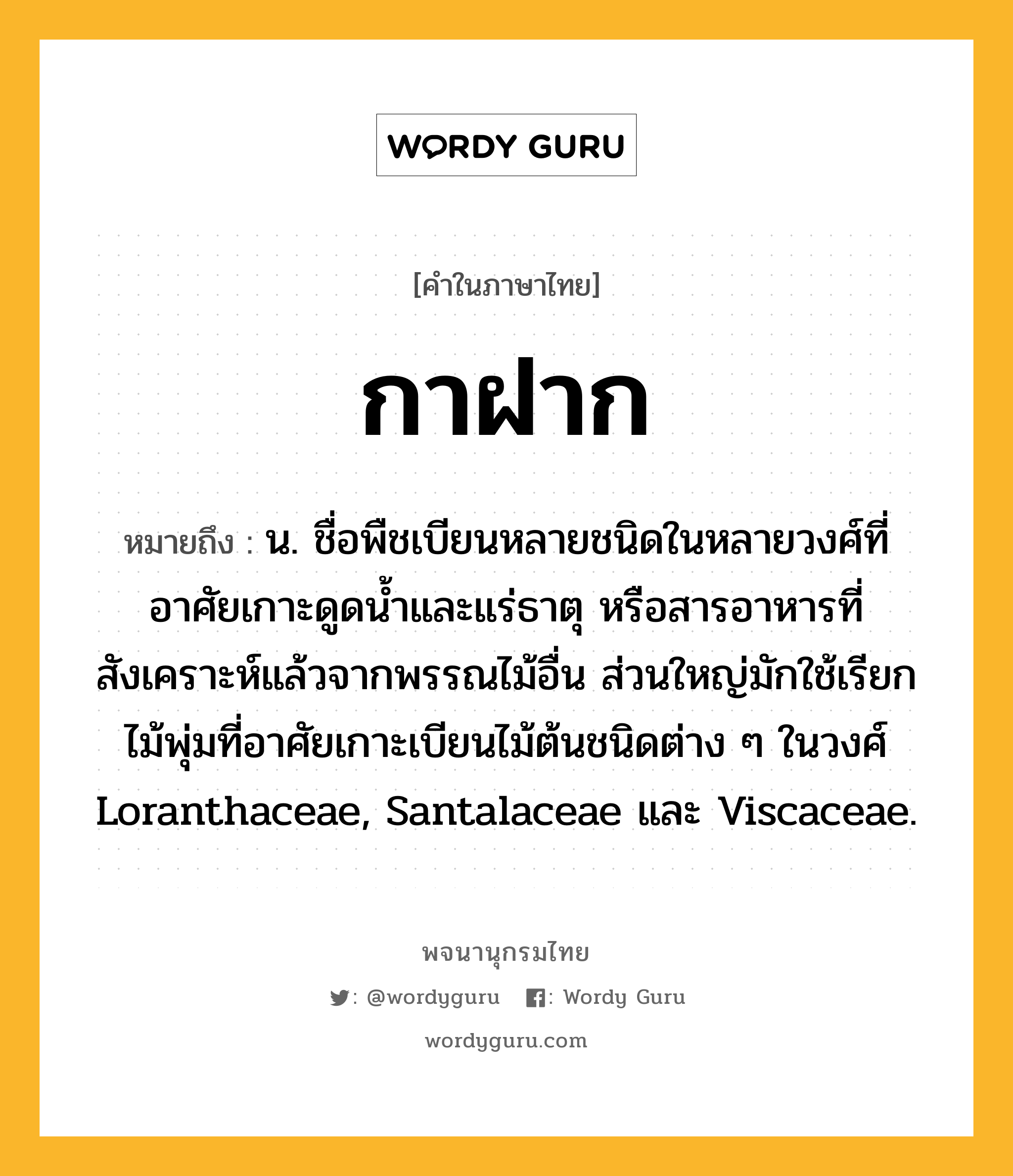 กาฝาก หมายถึงอะไร?, คำในภาษาไทย กาฝาก หมายถึง น. ชื่อพืชเบียนหลายชนิดในหลายวงศ์ที่อาศัยเกาะดูดนํ้าและแร่ธาตุ หรือสารอาหารที่สังเคราะห์แล้วจากพรรณไม้อื่น ส่วนใหญ่มักใช้เรียกไม้พุ่มที่อาศัยเกาะเบียนไม้ต้นชนิดต่าง ๆ ในวงศ์ Loranthaceae, Santalaceae และ Viscaceae.