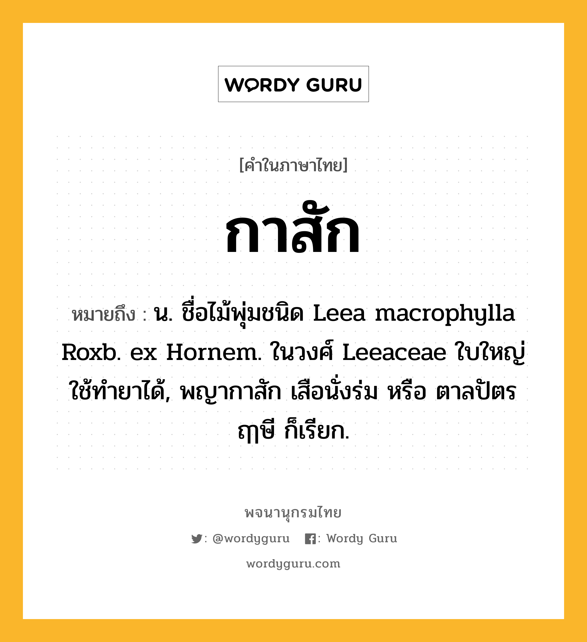 กาสัก หมายถึงอะไร?, คำในภาษาไทย กาสัก หมายถึง น. ชื่อไม้พุ่มชนิด Leea macrophylla Roxb. ex Hornem. ในวงศ์ Leeaceae ใบใหญ่ ใช้ทํายาได้, พญากาสัก เสือนั่งร่ม หรือ ตาลปัตรฤๅษี ก็เรียก.