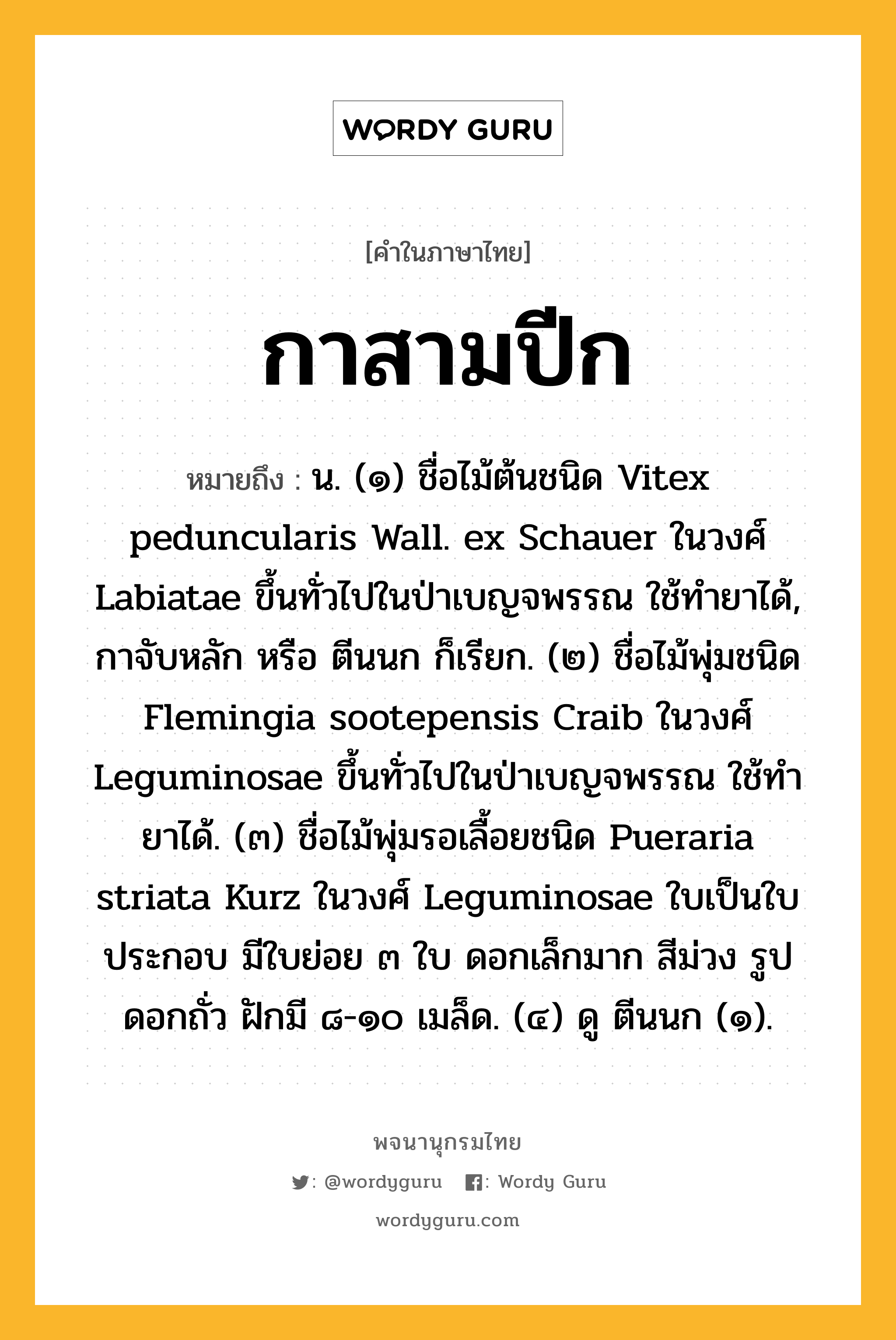 กาสามปีก หมายถึงอะไร?, คำในภาษาไทย กาสามปีก หมายถึง น. (๑) ชื่อไม้ต้นชนิด Vitex peduncularis Wall. ex Schauer ในวงศ์ Labiatae ขึ้นทั่วไปในป่าเบญจพรรณ ใช้ทํายาได้, กาจับหลัก หรือ ตีนนก ก็เรียก. (๒) ชื่อไม้พุ่มชนิด Flemingia sootepensis Craib ในวงศ์ Leguminosae ขึ้นทั่วไปในป่าเบญจพรรณ ใช้ทํายาได้. (๓) ชื่อไม้พุ่มรอเลื้อยชนิด Pueraria striata Kurz ในวงศ์ Leguminosae ใบเป็นใบประกอบ มีใบย่อย ๓ ใบ ดอกเล็กมาก สีม่วง รูปดอกถั่ว ฝักมี ๘-๑๐ เมล็ด. (๔) ดู ตีนนก (๑).