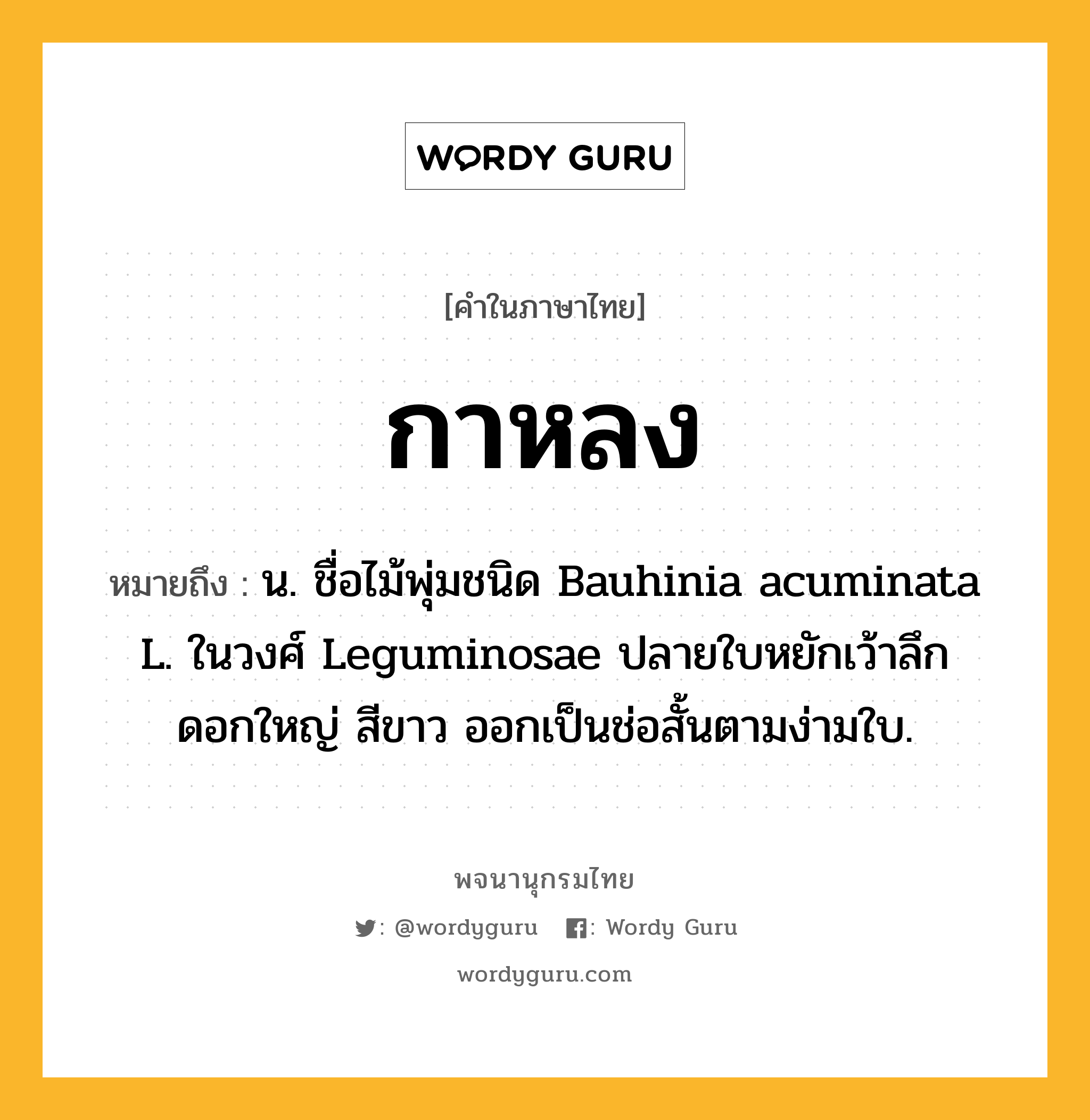 กาหลง หมายถึงอะไร?, คำในภาษาไทย กาหลง หมายถึง น. ชื่อไม้พุ่มชนิด Bauhinia acuminata L. ในวงศ์ Leguminosae ปลายใบหยักเว้าลึก ดอกใหญ่ สีขาว ออกเป็นช่อสั้นตามง่ามใบ.