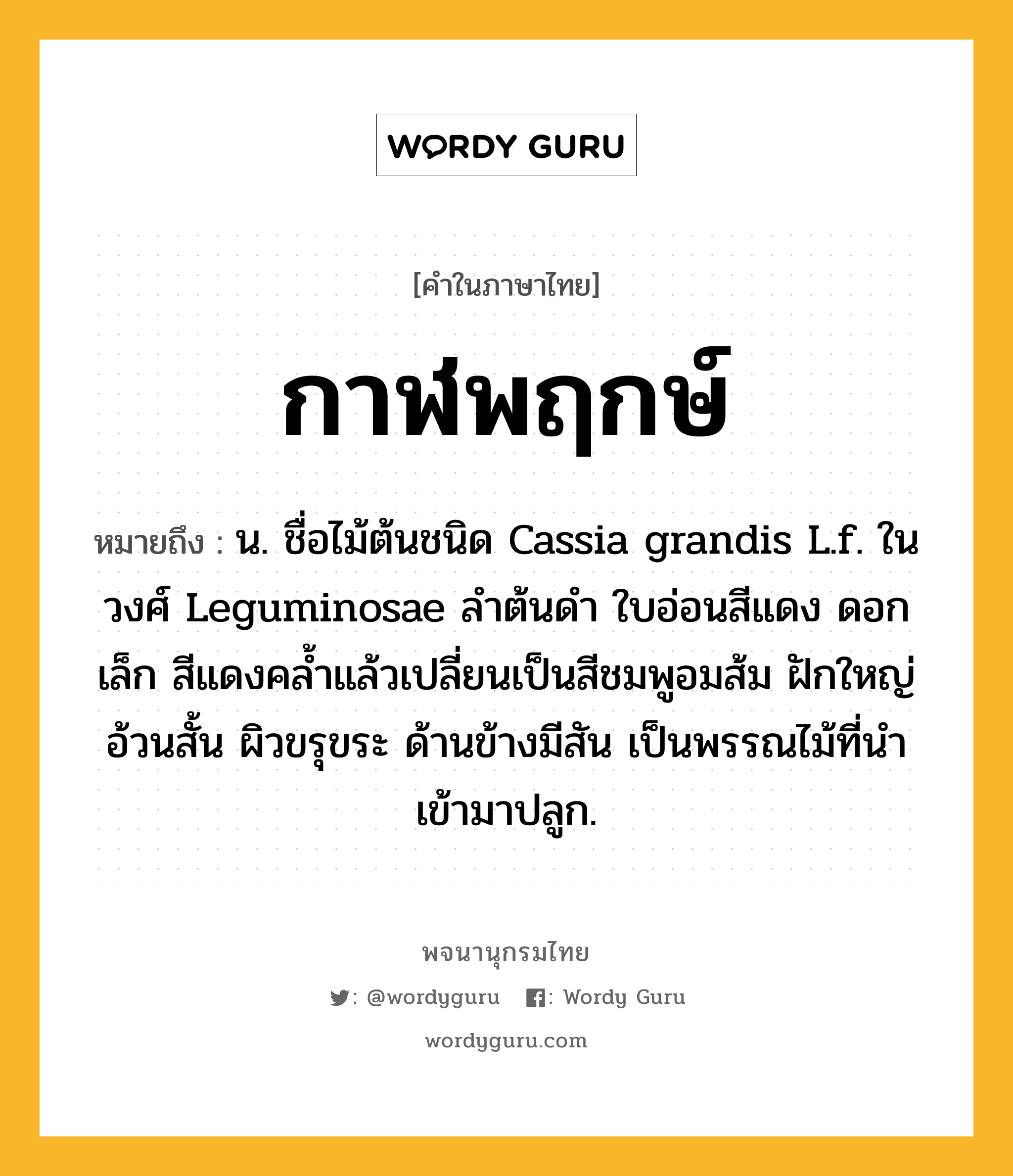 กาฬพฤกษ์ ความหมาย หมายถึงอะไร?, คำในภาษาไทย กาฬพฤกษ์ หมายถึง น. ชื่อไม้ต้นชนิด Cassia grandis L.f. ในวงศ์ Leguminosae ลําต้นดํา ใบอ่อนสีแดง ดอกเล็ก สีแดงคล้ำแล้วเปลี่ยนเป็นสีชมพูอมส้ม ฝักใหญ่อ้วนสั้น ผิวขรุขระ ด้านข้างมีสัน เป็นพรรณไม้ที่นําเข้ามาปลูก.