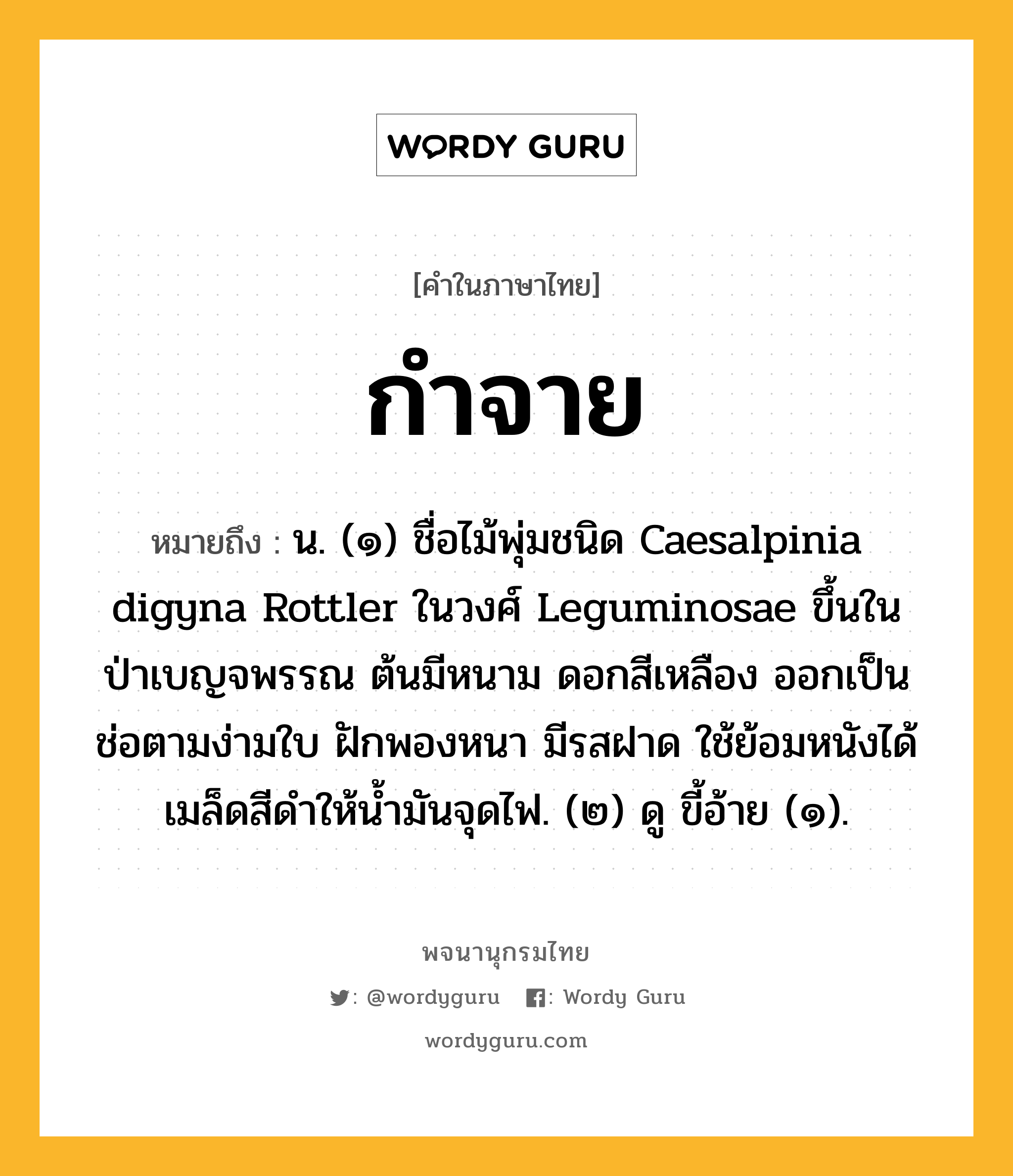 กำจาย หมายถึงอะไร?, คำในภาษาไทย กำจาย หมายถึง น. (๑) ชื่อไม้พุ่มชนิด Caesalpinia digyna Rottler ในวงศ์ Leguminosae ขึ้นในป่าเบญจพรรณ ต้นมีหนาม ดอกสีเหลือง ออกเป็นช่อตามง่ามใบ ฝักพองหนา มีรสฝาด ใช้ย้อมหนังได้ เมล็ดสีดําให้นํ้ามันจุดไฟ. (๒) ดู ขี้อ้าย (๑).