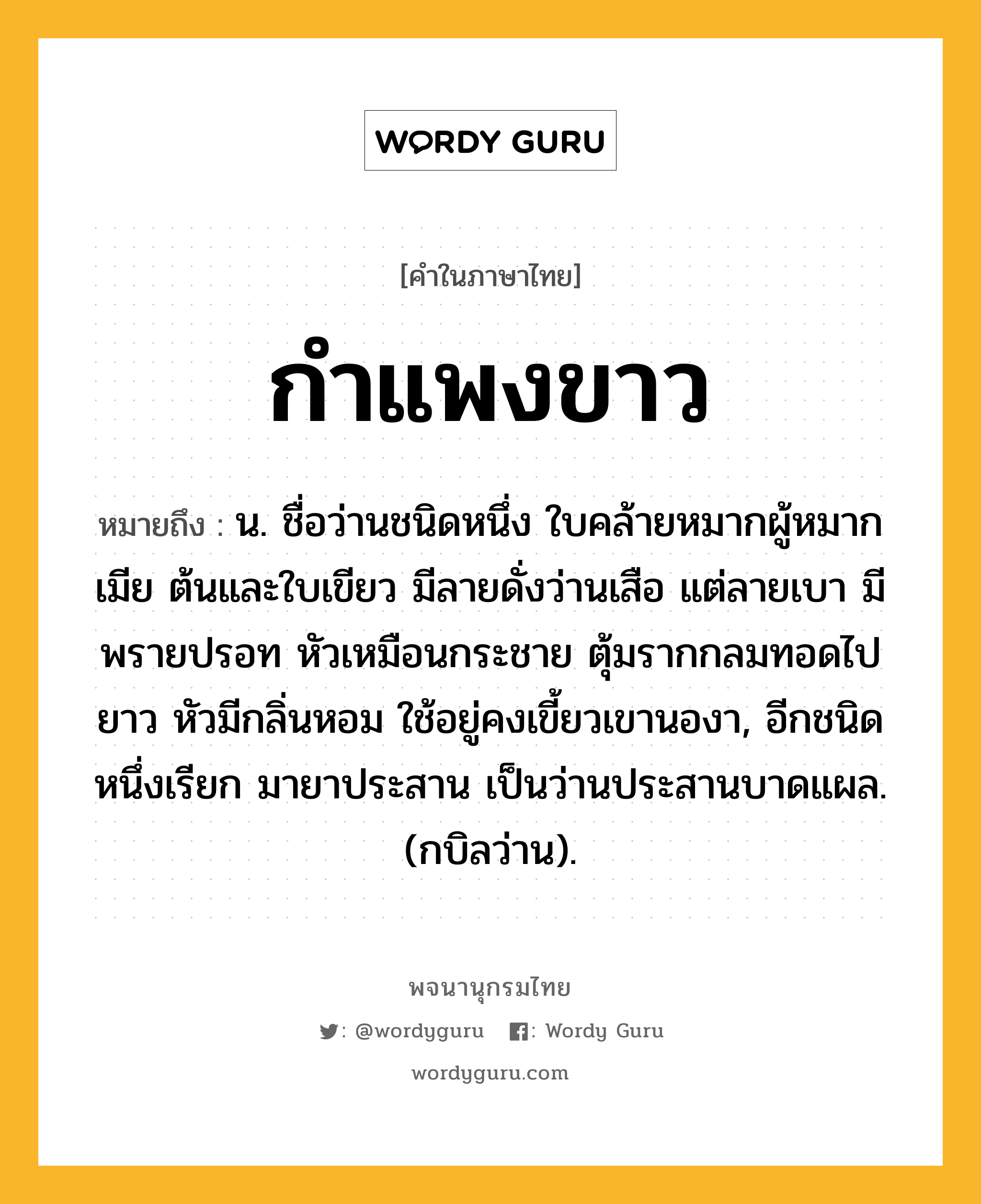 กำแพงขาว หมายถึงอะไร?, คำในภาษาไทย กำแพงขาว หมายถึง น. ชื่อว่านชนิดหนึ่ง ใบคล้ายหมากผู้หมากเมีย ต้นและใบเขียว มีลายดั่งว่านเสือ แต่ลายเบา มีพรายปรอท หัวเหมือนกระชาย ตุ้มรากกลมทอดไปยาว หัวมีกลิ่นหอม ใช้อยู่คงเขี้ยวเขานองา, อีกชนิดหนึ่งเรียก มายาประสาน เป็นว่านประสานบาดแผล. (กบิลว่าน).