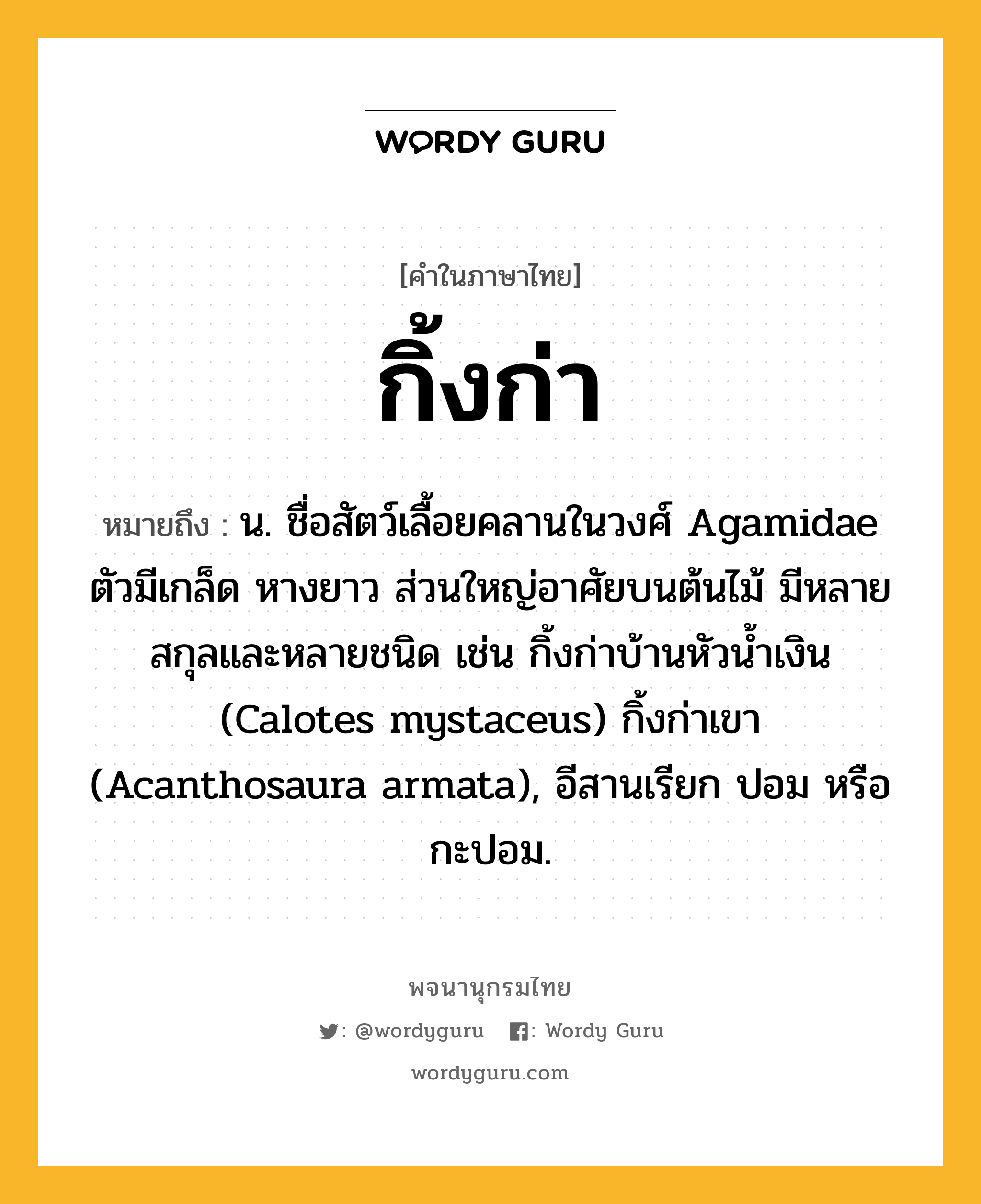 กิ้งก่า หมายถึงอะไร?, คำในภาษาไทย กิ้งก่า หมายถึง น. ชื่อสัตว์เลื้อยคลานในวงศ์ Agamidae ตัวมีเกล็ด หางยาว ส่วนใหญ่อาศัยบนต้นไม้ มีหลายสกุลและหลายชนิด เช่น กิ้งก่าบ้านหัวนํ้าเงิน (Calotes mystaceus) กิ้งก่าเขา (Acanthosaura armata), อีสานเรียก ปอม หรือ กะปอม.