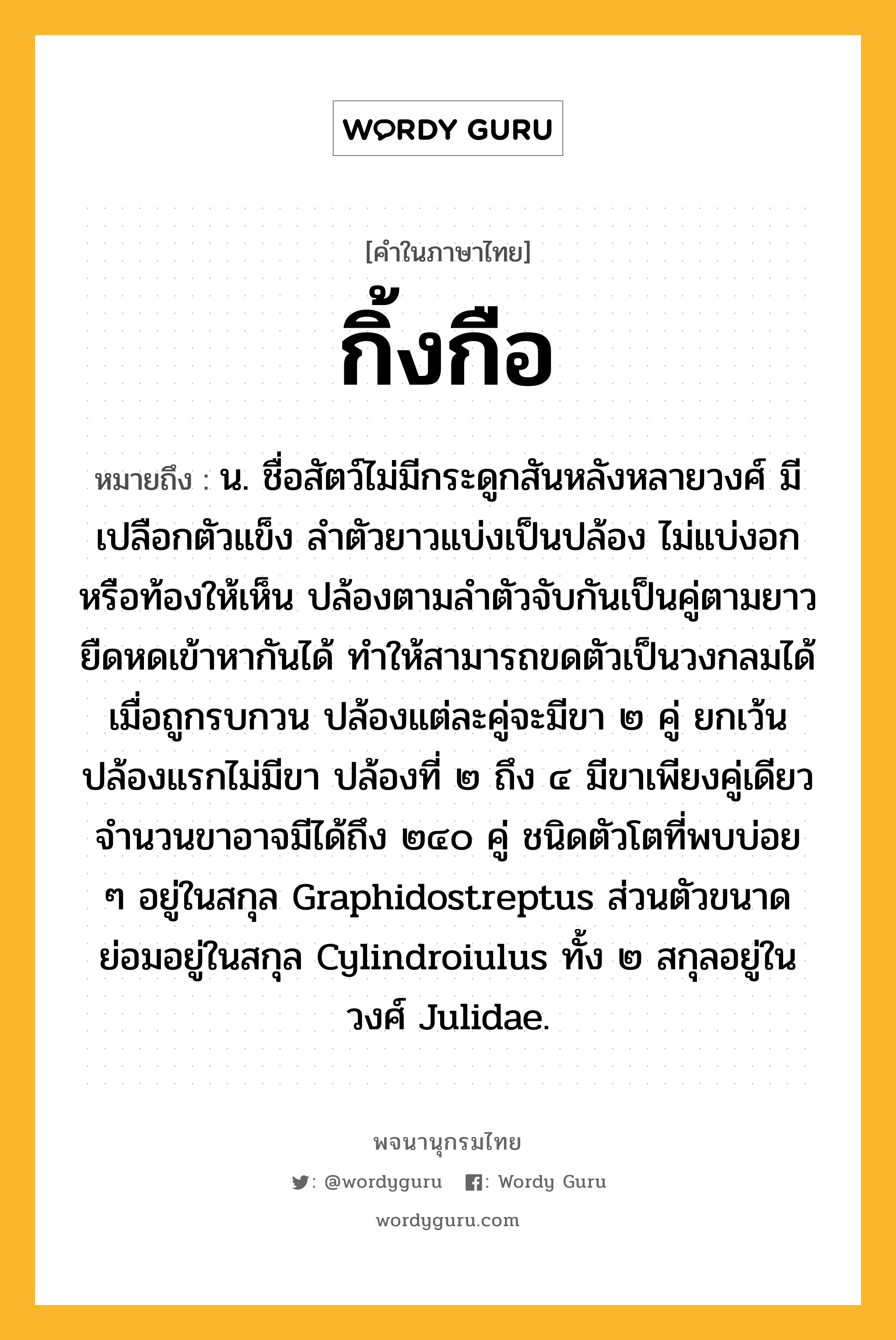 กิ้งกือ หมายถึงอะไร?, คำในภาษาไทย กิ้งกือ หมายถึง น. ชื่อสัตว์ไม่มีกระดูกสันหลังหลายวงศ์ มีเปลือกตัวแข็ง ลําตัวยาวแบ่งเป็นปล้อง ไม่แบ่งอกหรือท้องให้เห็น ปล้องตามลําตัวจับกันเป็นคู่ตามยาวยืดหดเข้าหากันได้ ทําให้สามารถขดตัวเป็นวงกลมได้เมื่อถูกรบกวน ปล้องแต่ละคู่จะมีขา ๒ คู่ ยกเว้นปล้องแรกไม่มีขา ปล้องที่ ๒ ถึง ๔ มีขาเพียงคู่เดียว จํานวนขาอาจมีได้ถึง ๒๔๐ คู่ ชนิดตัวโตที่พบบ่อย ๆ อยู่ในสกุล Graphidostreptus ส่วนตัวขนาดย่อมอยู่ในสกุล Cylindroiulus ทั้ง ๒ สกุลอยู่ในวงศ์ Julidae.