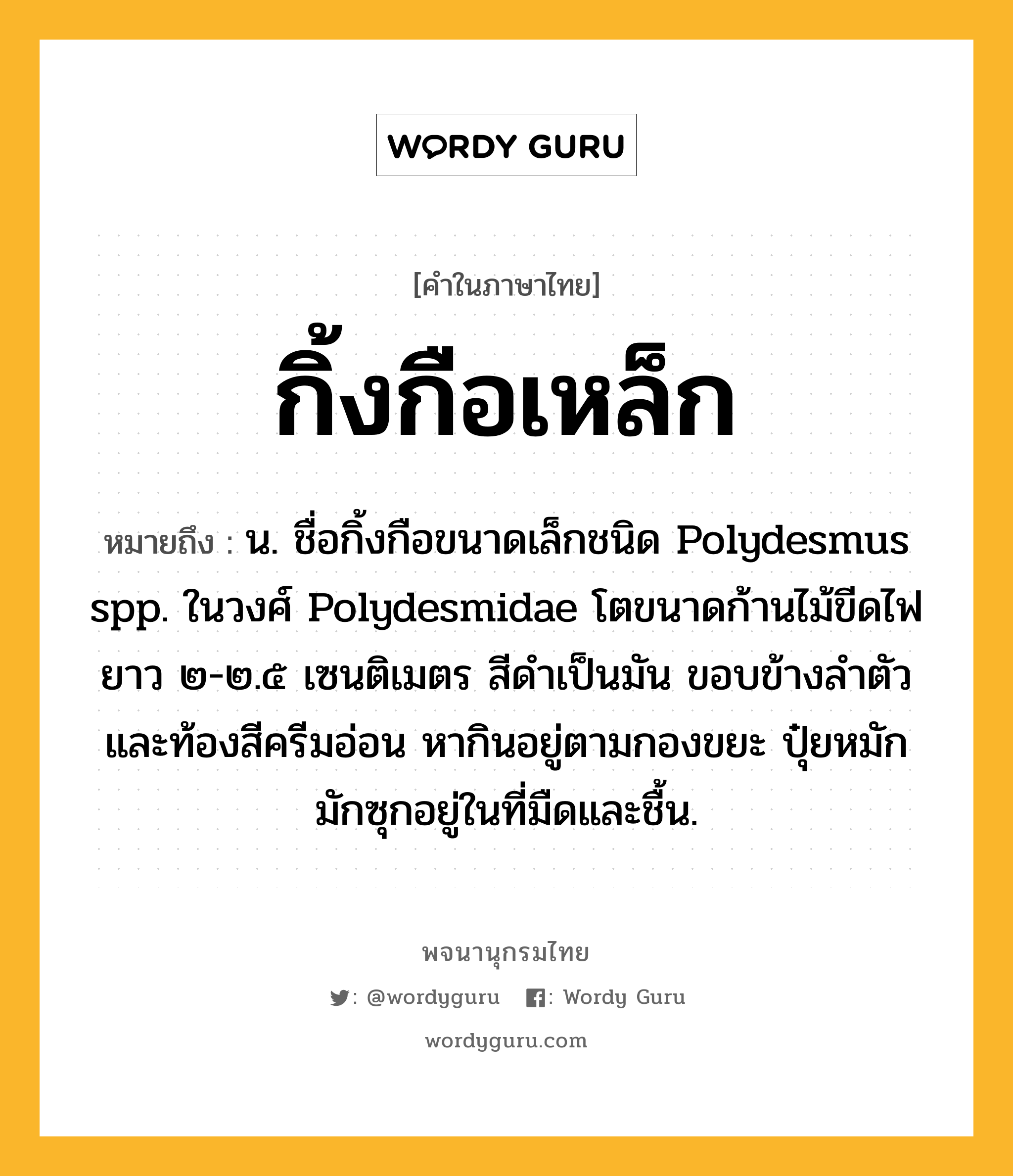 กิ้งกือเหล็ก หมายถึงอะไร?, คำในภาษาไทย กิ้งกือเหล็ก หมายถึง น. ชื่อกิ้งกือขนาดเล็กชนิด Polydesmus spp. ในวงศ์ Polydesmidae โตขนาดก้านไม้ขีดไฟ ยาว ๒-๒.๕ เซนติเมตร สีดําเป็นมัน ขอบข้างลําตัวและท้องสีครีมอ่อน หากินอยู่ตามกองขยะ ปุ๋ยหมัก มักซุกอยู่ในที่มืดและชื้น.