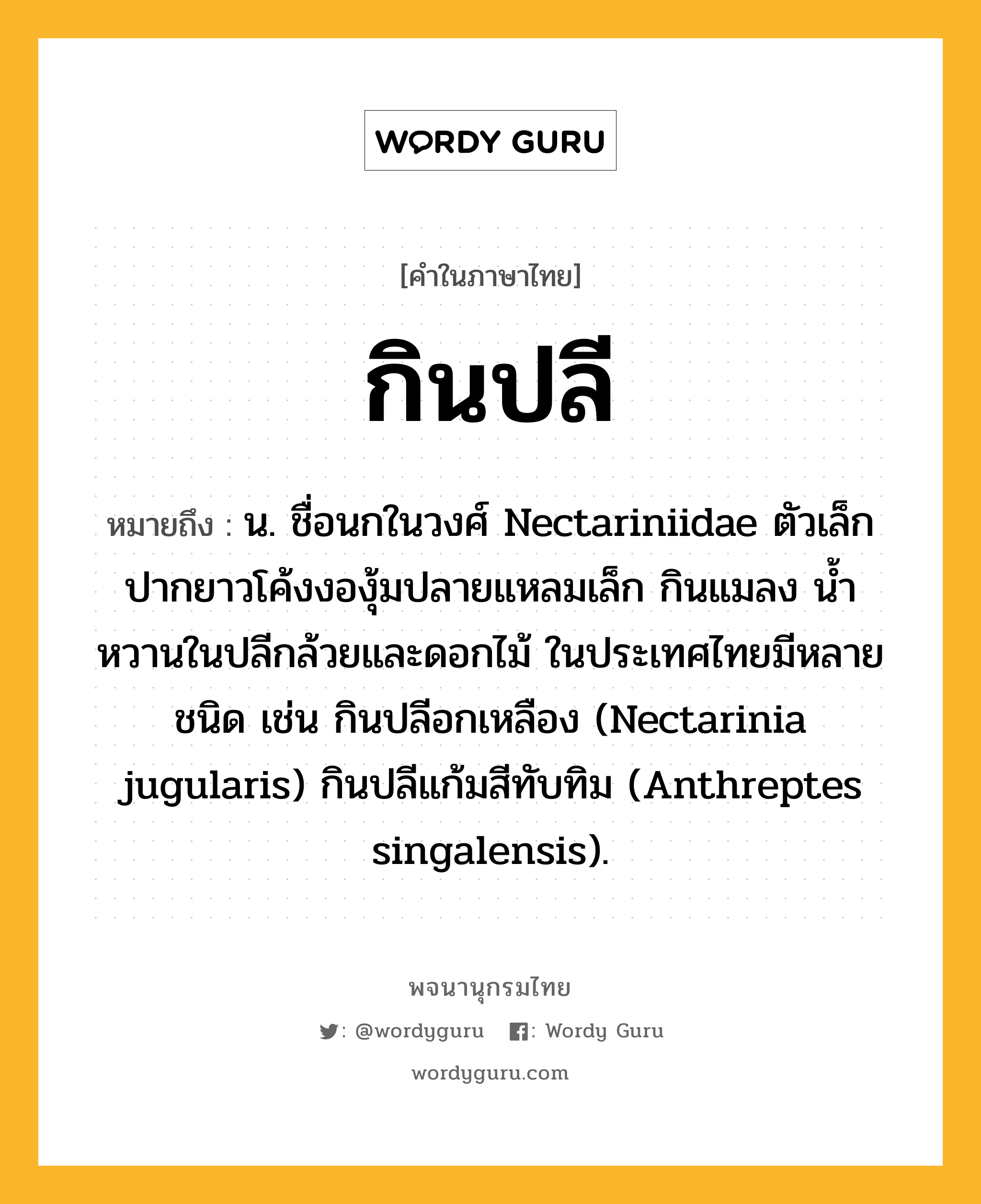 กินปลี ความหมาย หมายถึงอะไร?, คำในภาษาไทย กินปลี หมายถึง น. ชื่อนกในวงศ์ Nectariniidae ตัวเล็ก ปากยาวโค้งงองุ้มปลายแหลมเล็ก กินแมลง นํ้าหวานในปลีกล้วยและดอกไม้ ในประเทศไทยมีหลายชนิด เช่น กินปลีอกเหลือง (Nectarinia jugularis) กินปลีแก้มสีทับทิม (Anthreptes singalensis).